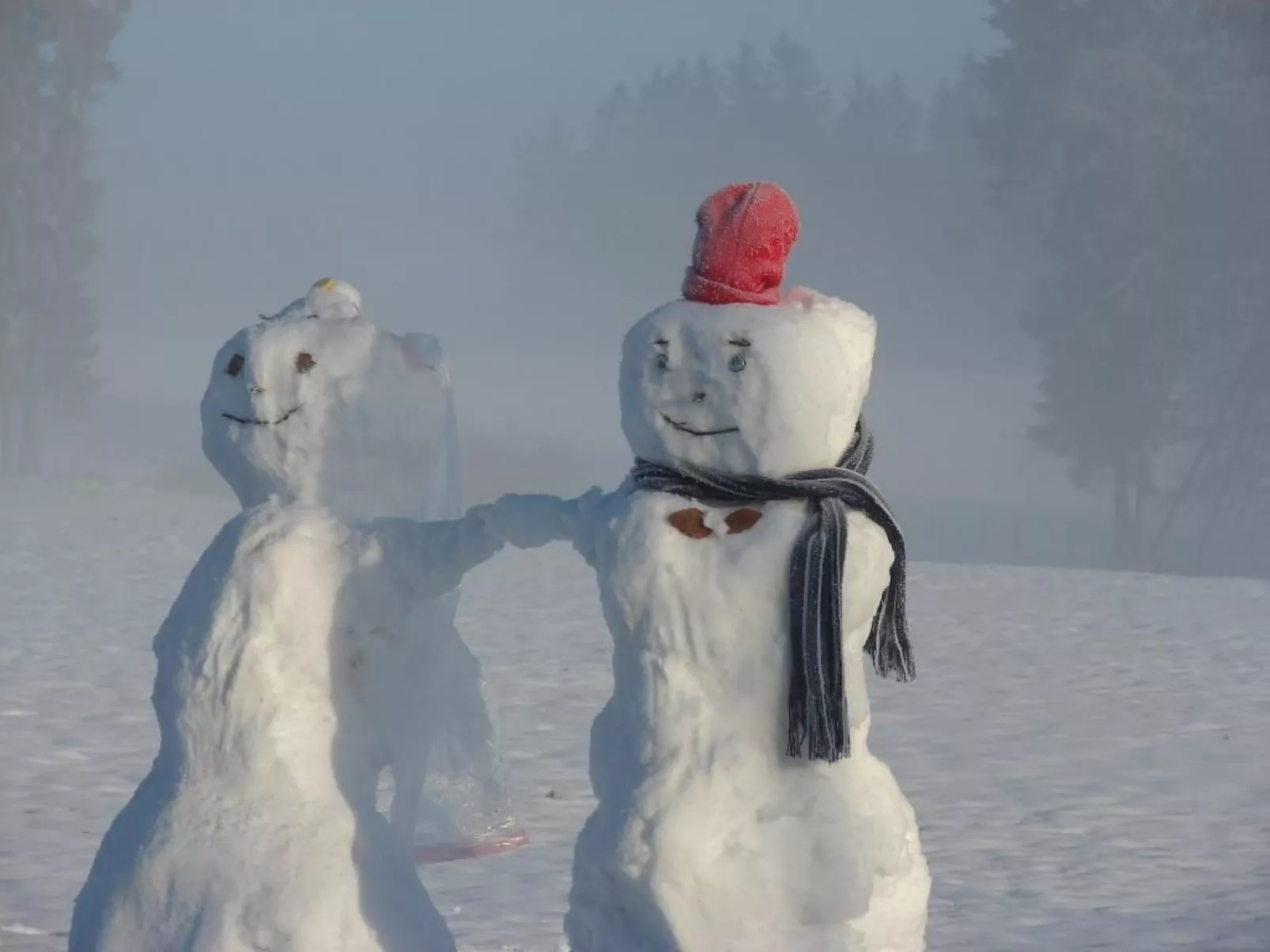 Snowview Lodge-Buiten