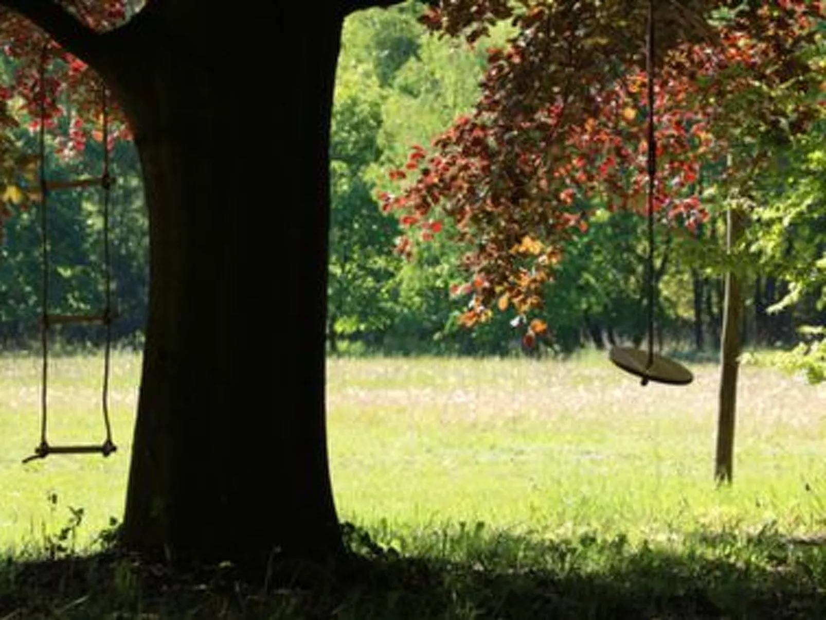 Heidebos für 8 Personen-Buiten