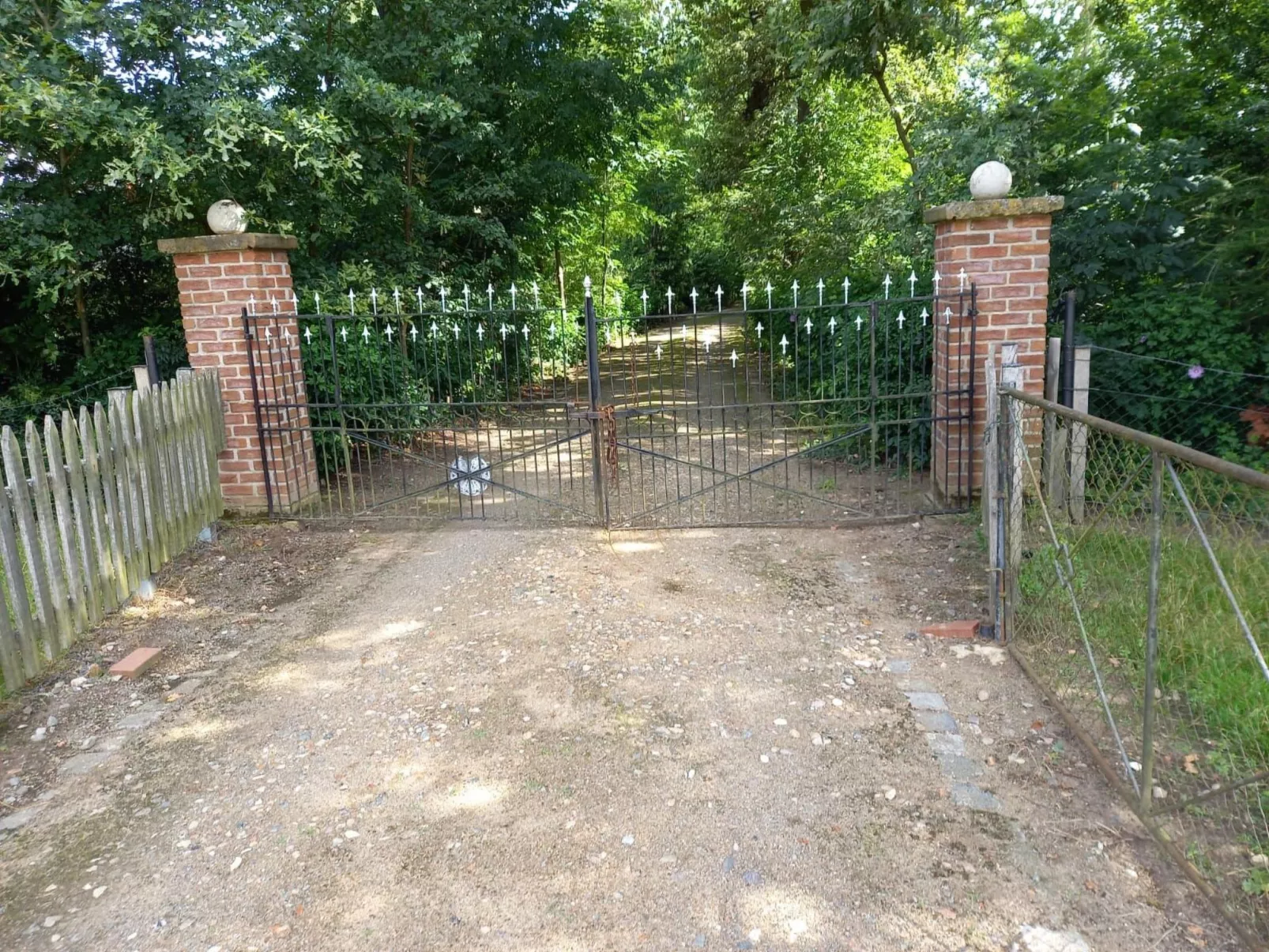 Haus Elbrose inmitten von Rosen mit Elbdeichzugang-Buiten