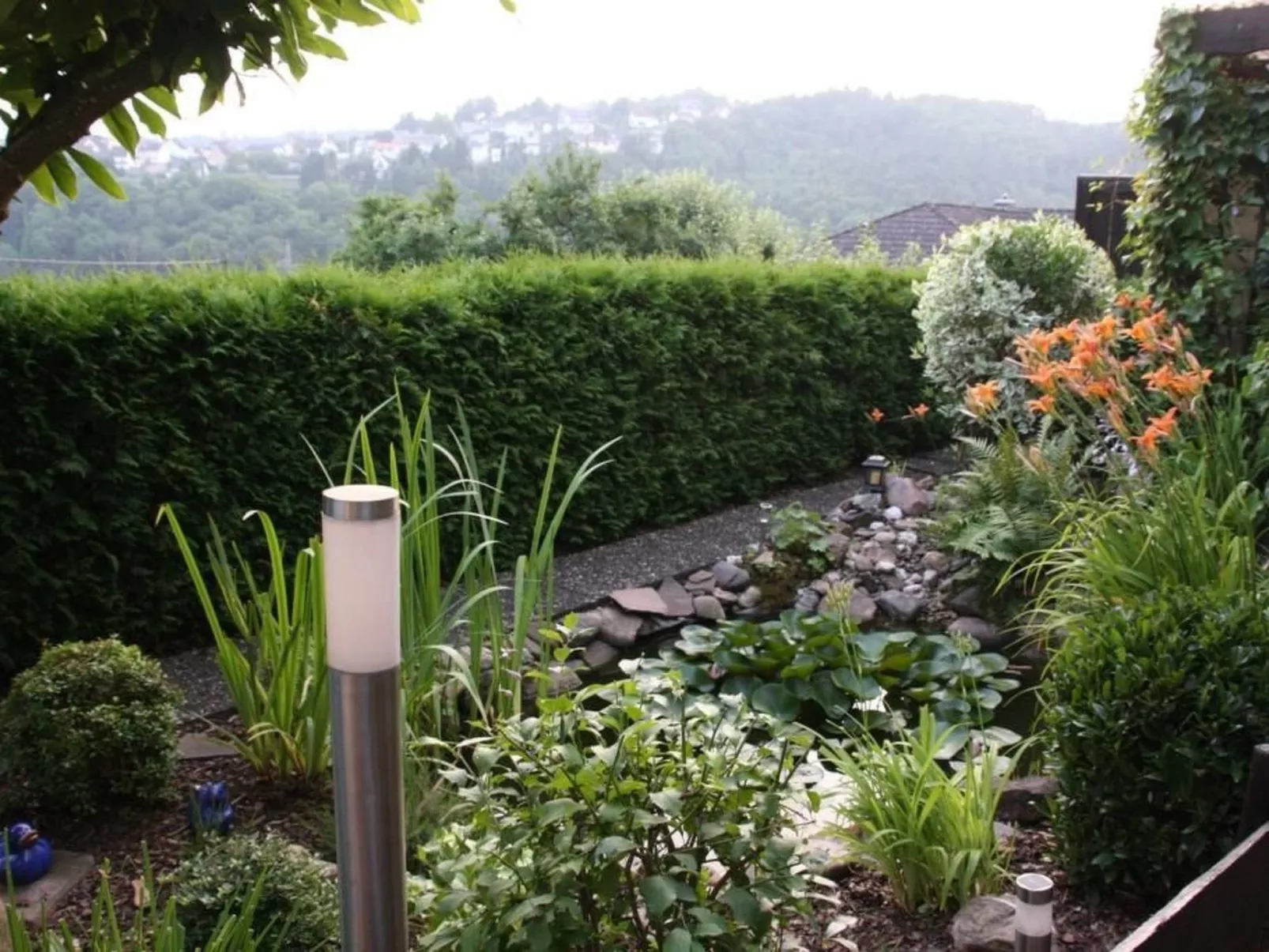 Mit Blick auf das Wasser-Image-tags.info