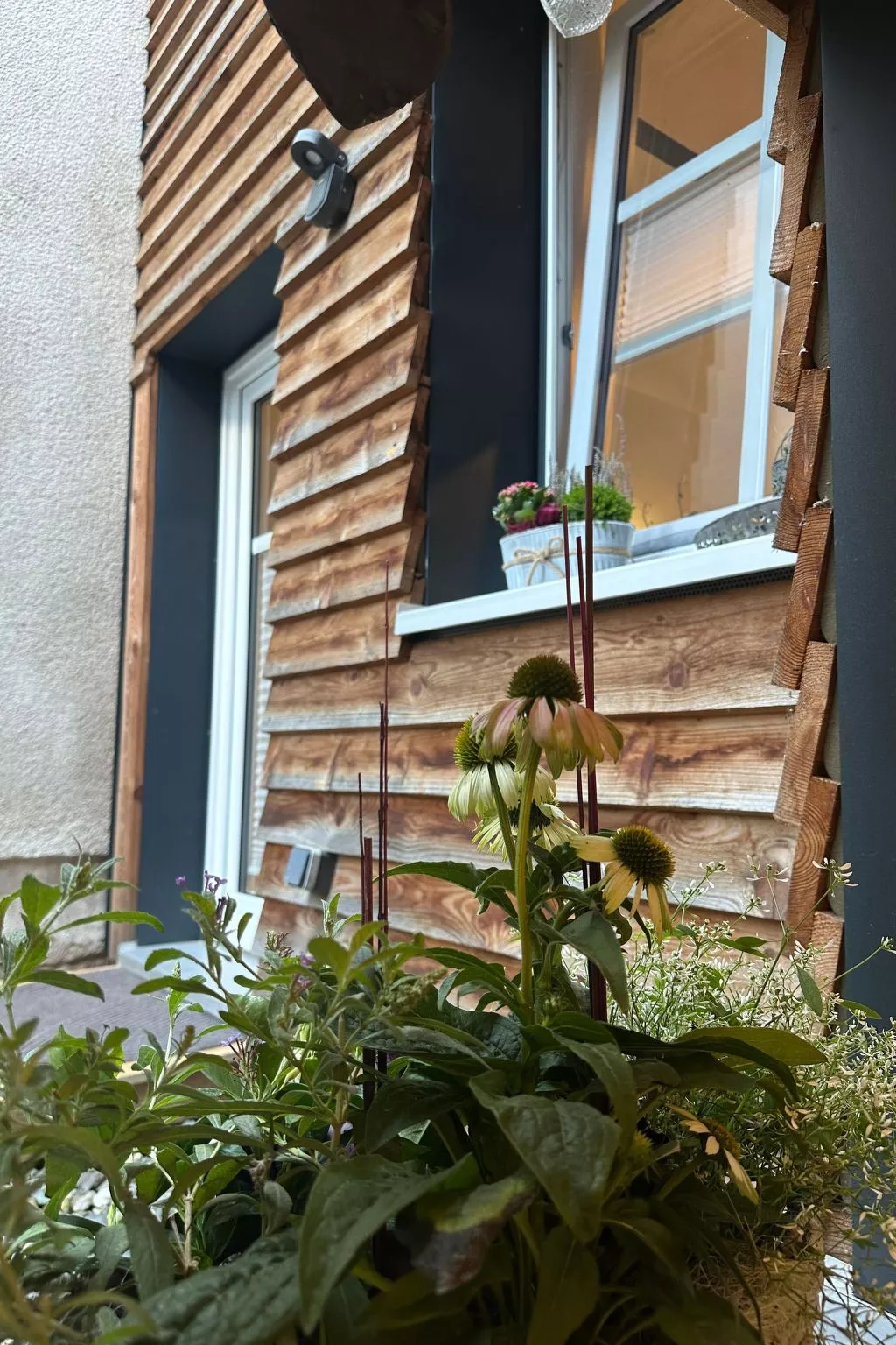 Altes Korbmacherhaus-Buiten