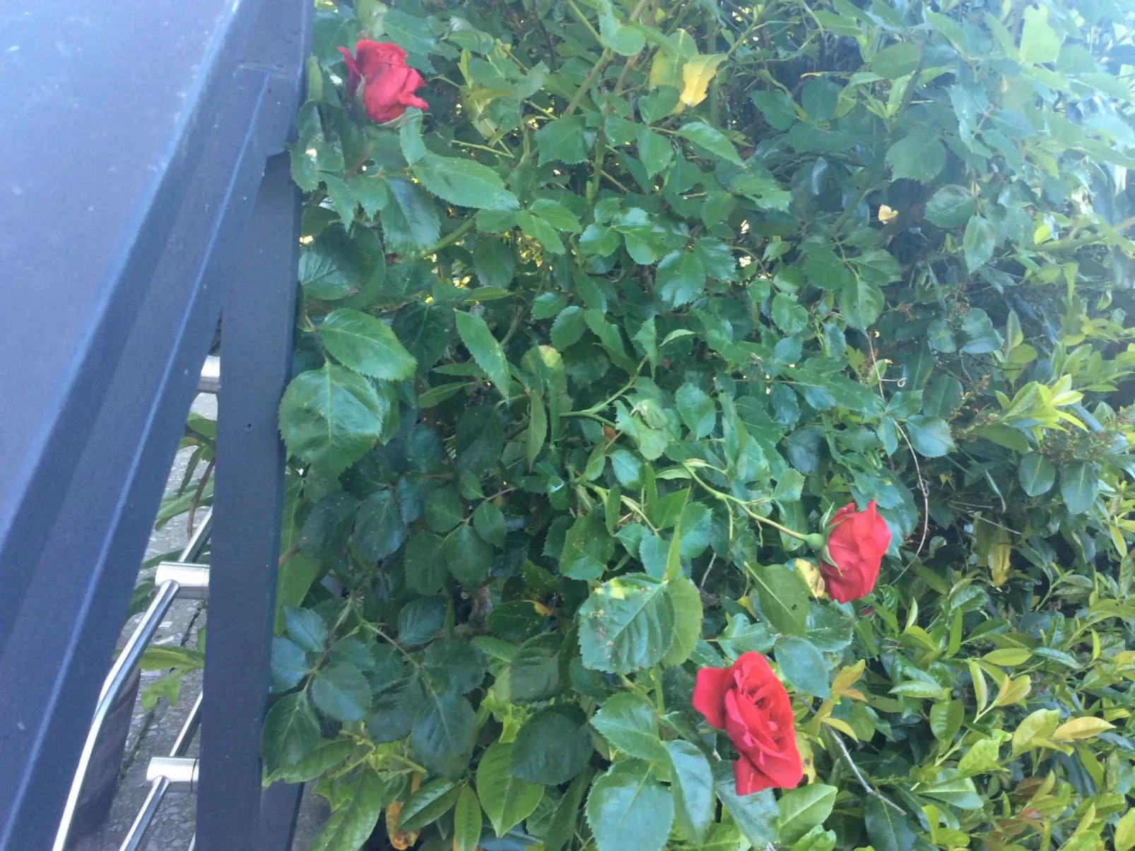 Appartement mit Balkon-Buiten