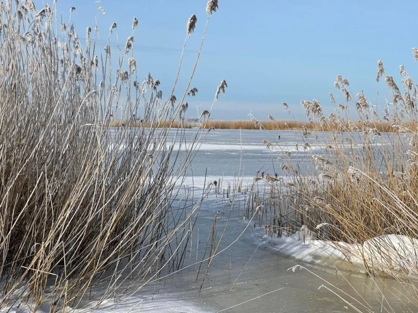 Ruhige Wohnung in Risum mit Garten und Terrasse-Buiten