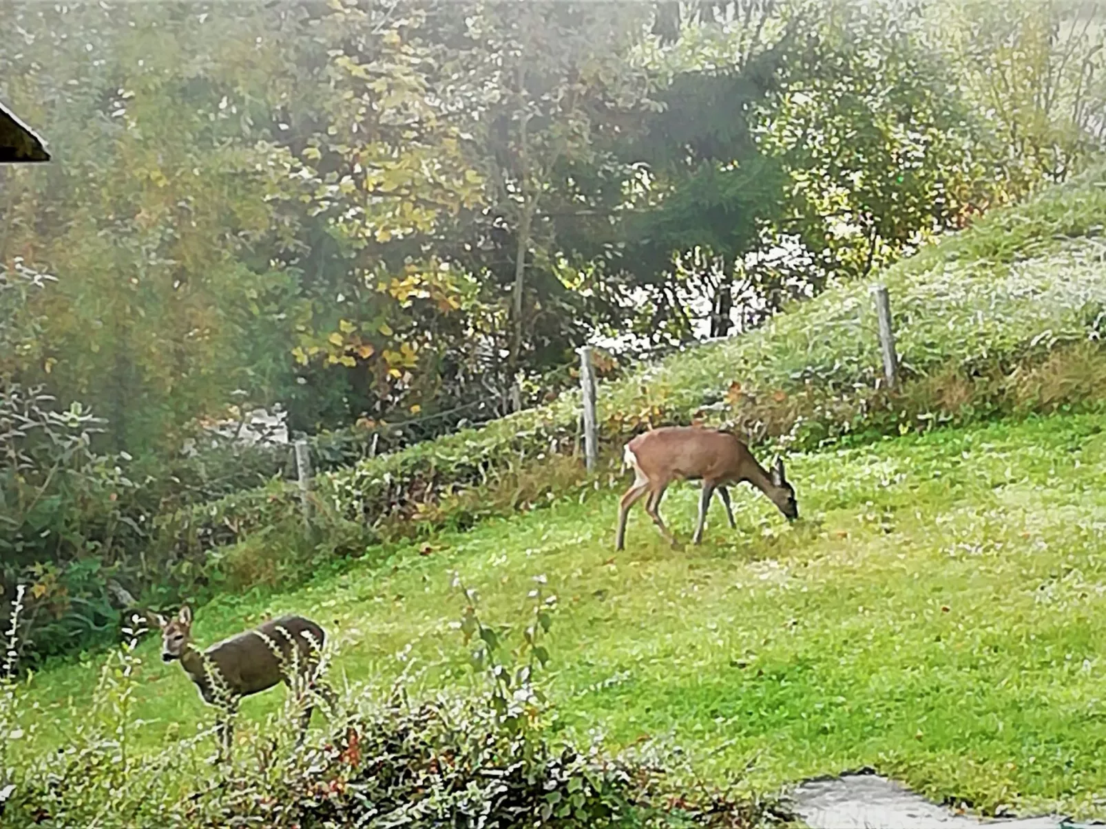 Haus Traunsee-Blick-Buiten
