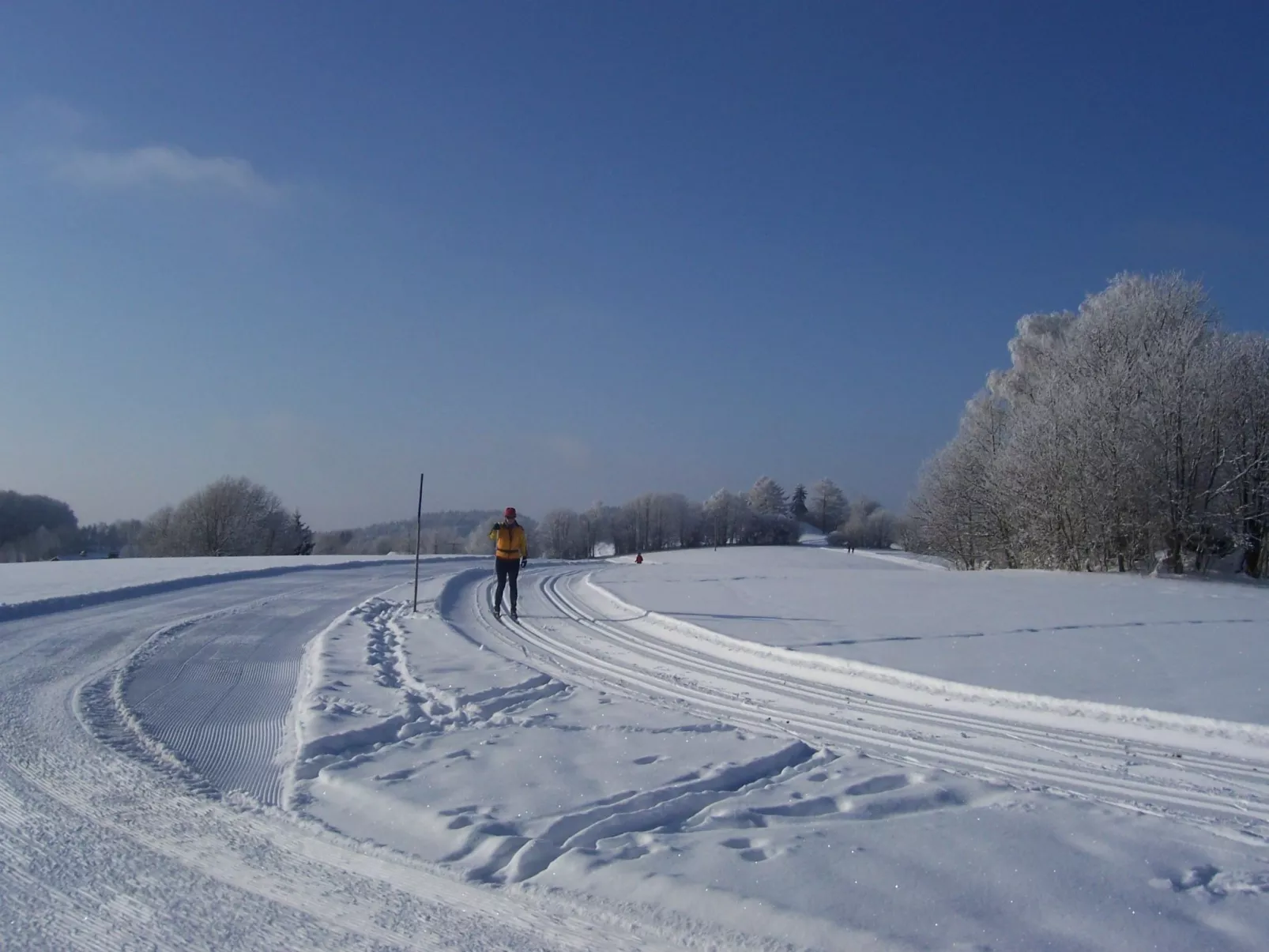 Typ B-Image-tags.info