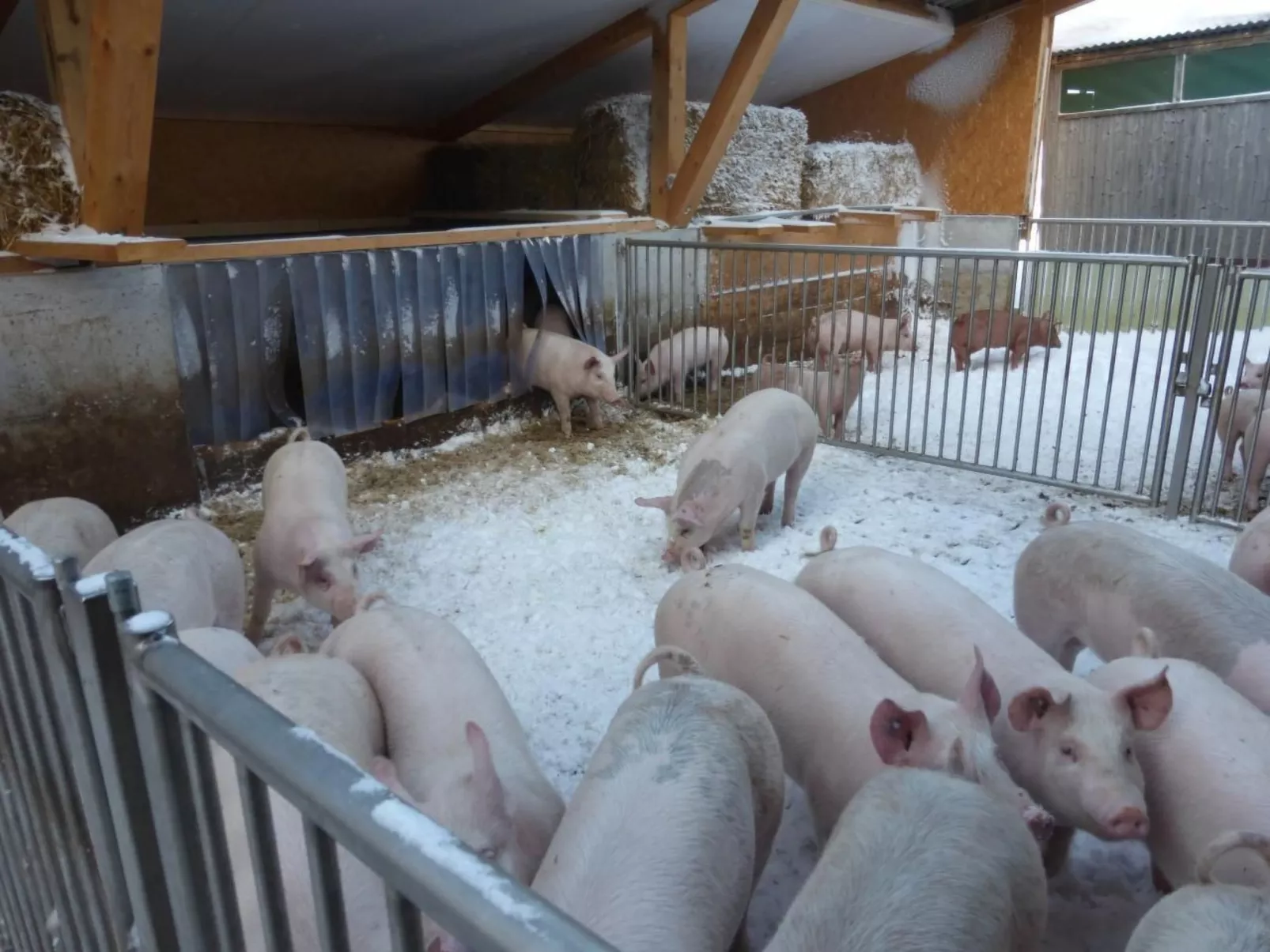 Ferienhof-Barenegg-Image-tags.info