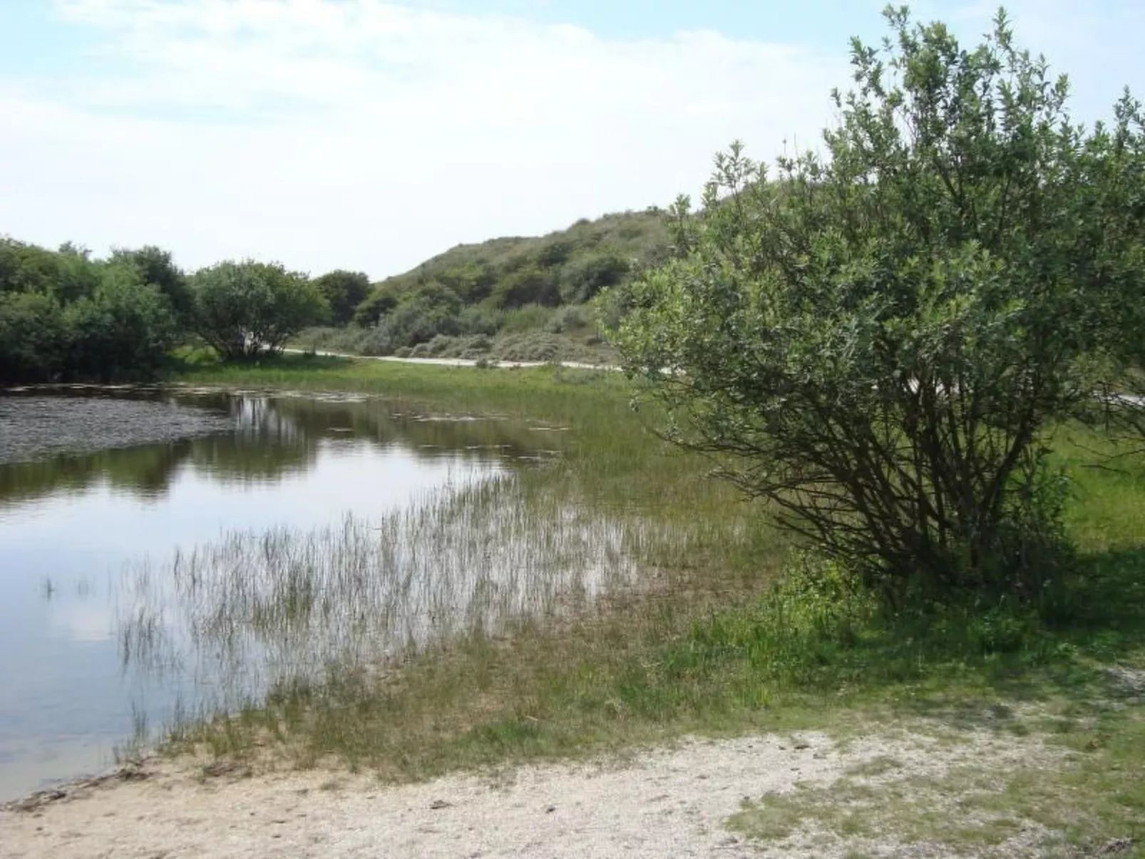 Mit Terrasse-Image-tags.info