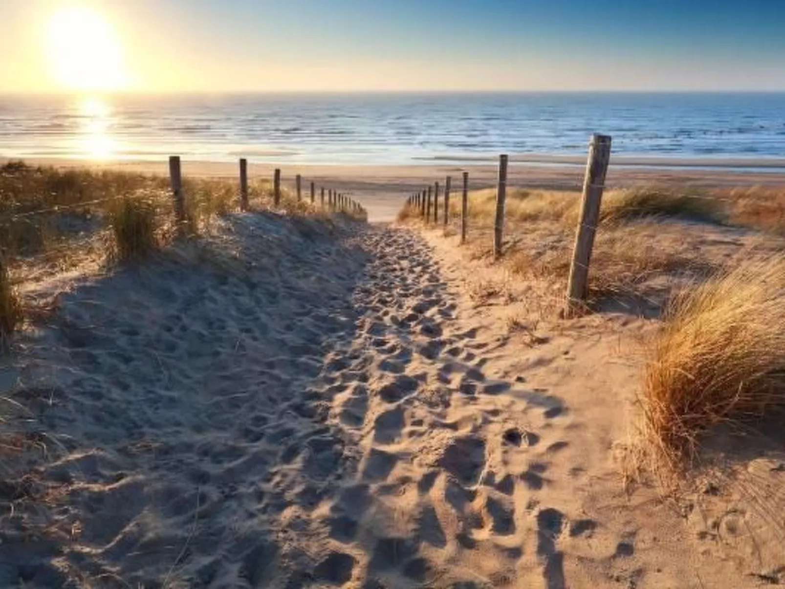 Wohnung in zentraler Lage in Zandvoort-Image-tags.info