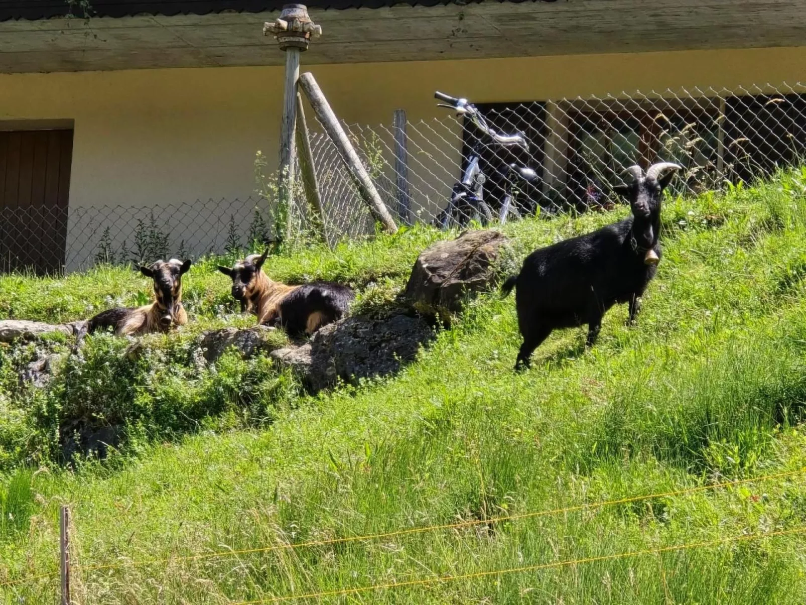 Nägeliboden-Image-tags.info