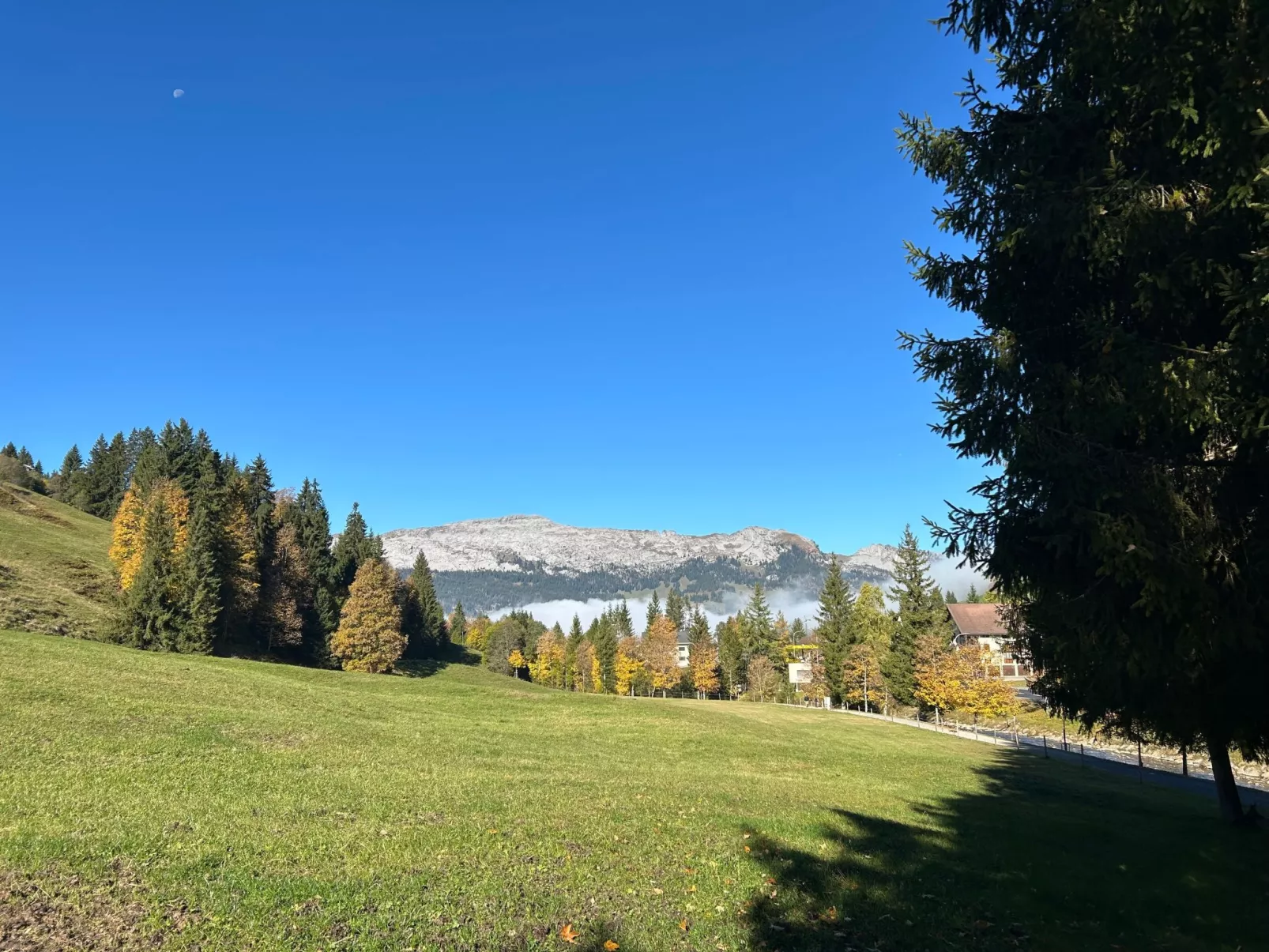 Wohnung Hirschi-Buiten