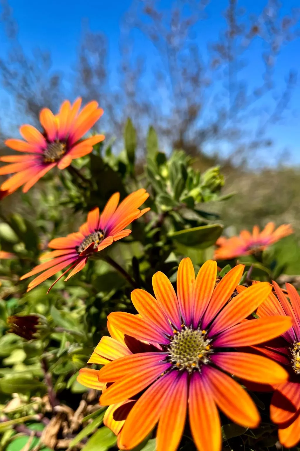 Neu erbautes Apartment mit großem Balkon-Buiten