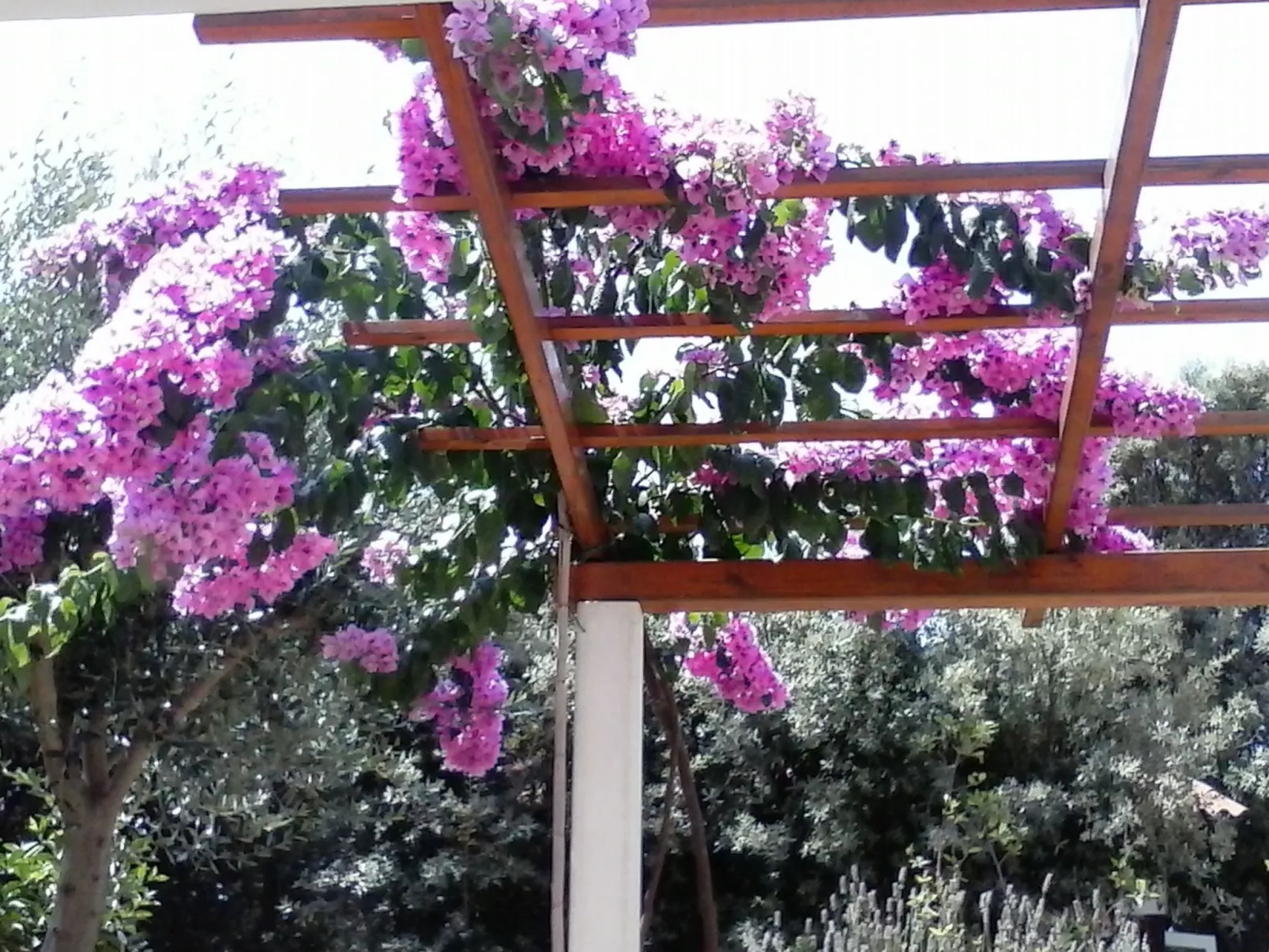 Erdgeschosswohnung Mia für vier Personen-Buiten