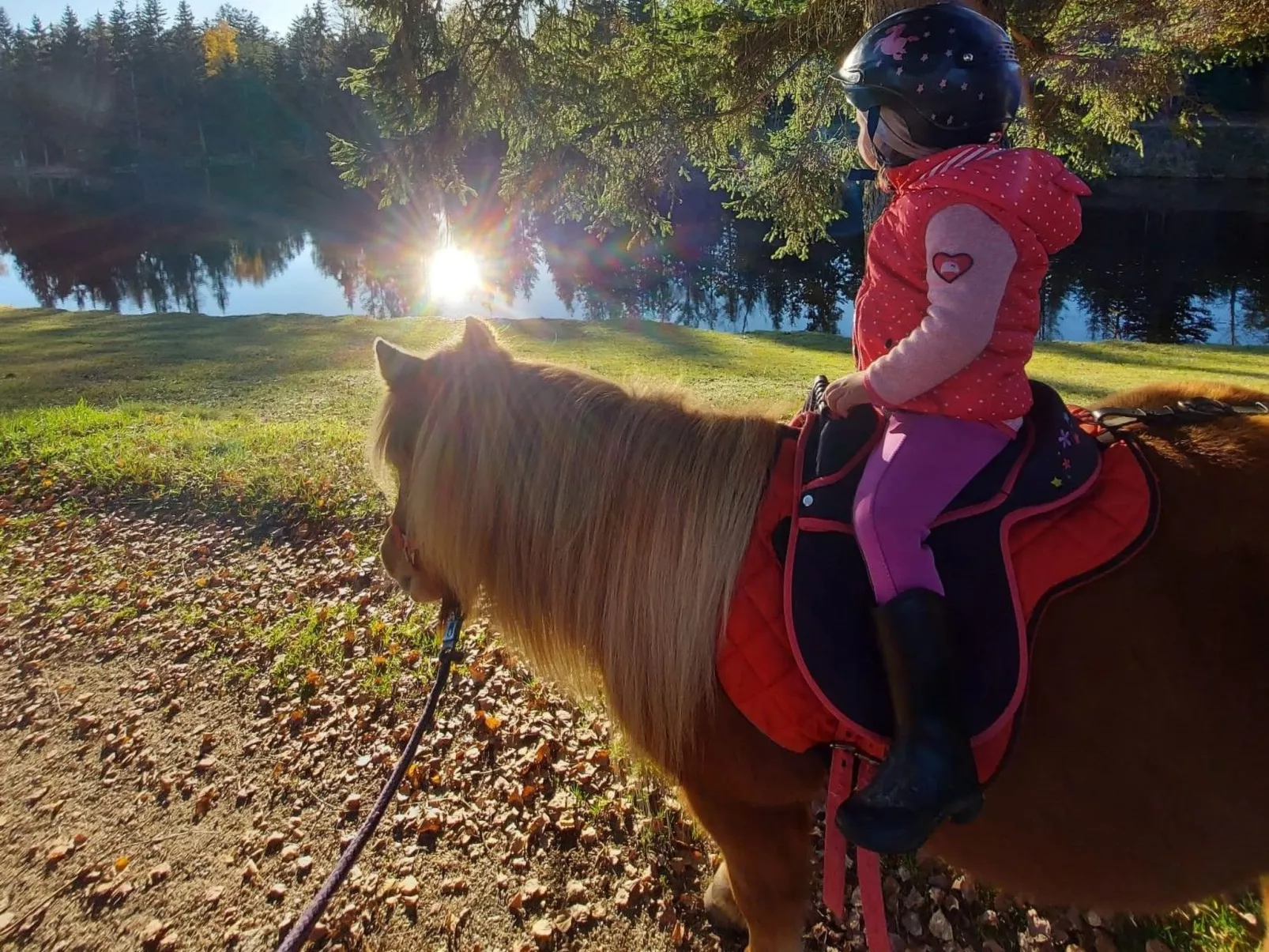 Uriges Blockhaus für 5 Personen-Image-tags.info