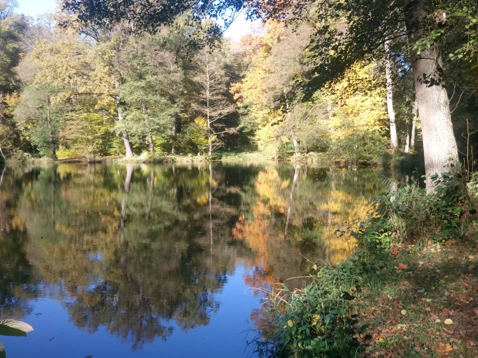 Alte Apotheke-Buiten