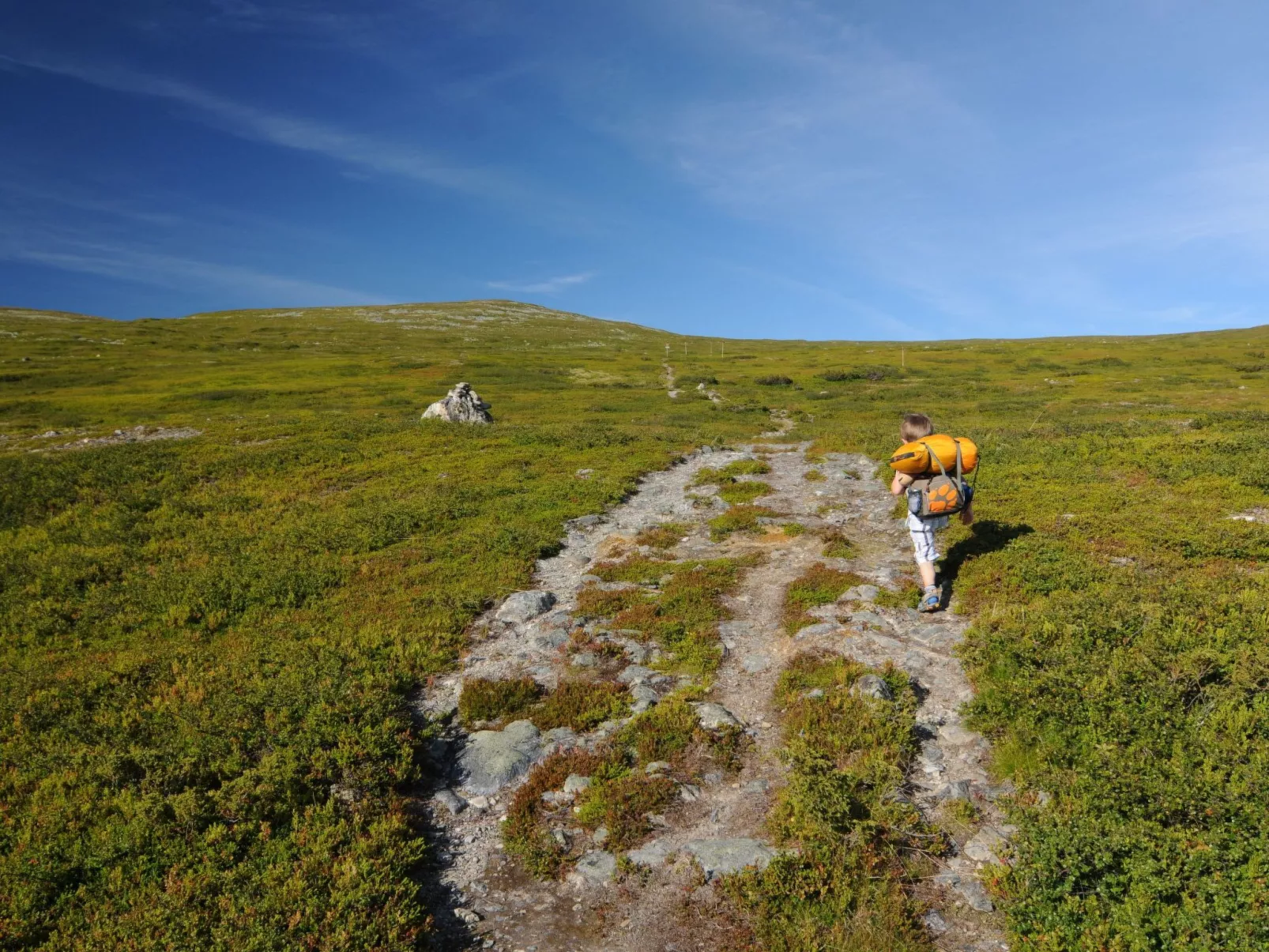 Charmantes modernes Blockhaus mit Kamin-Buiten