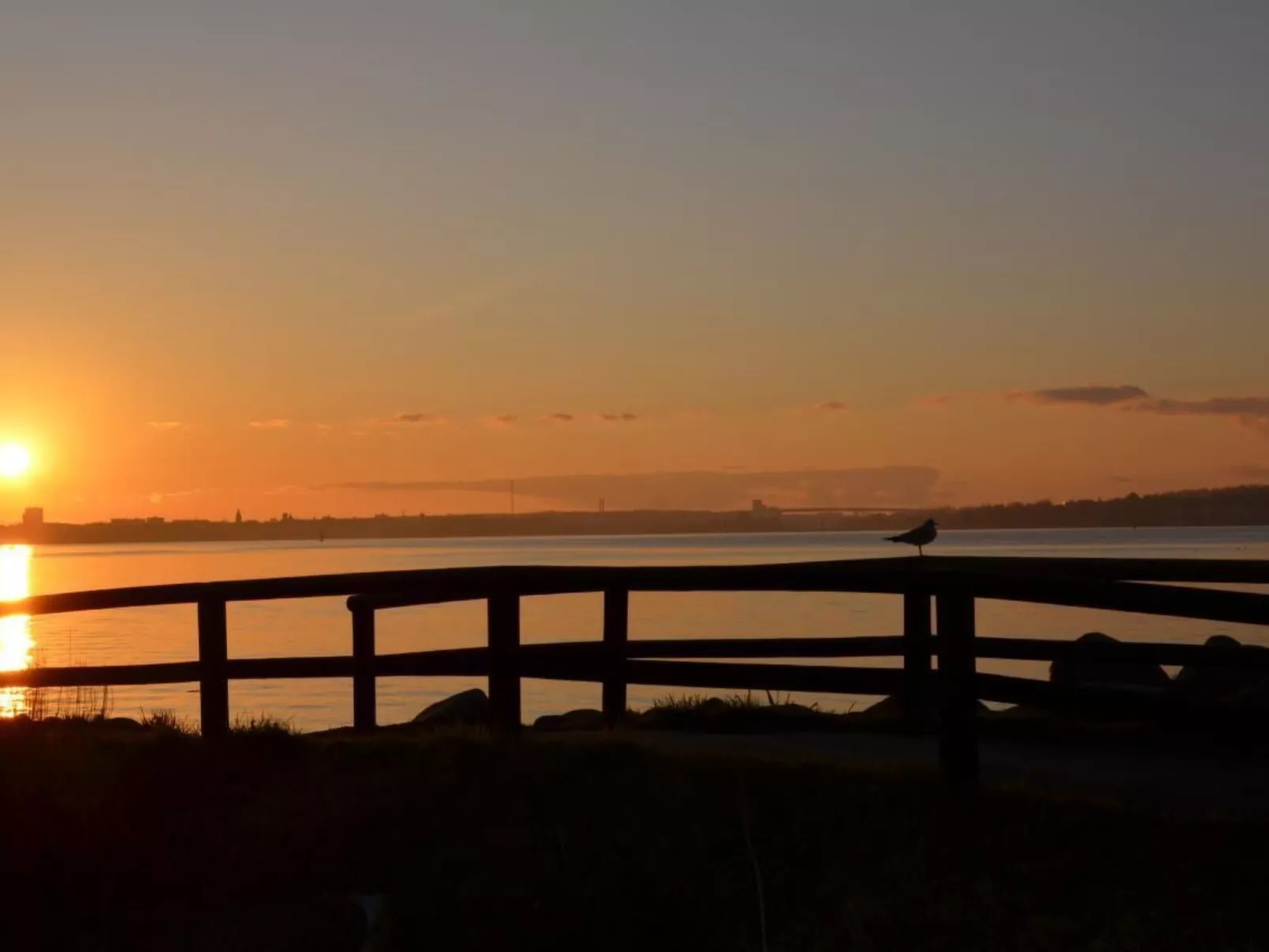 In Krokau-Image-tags.info