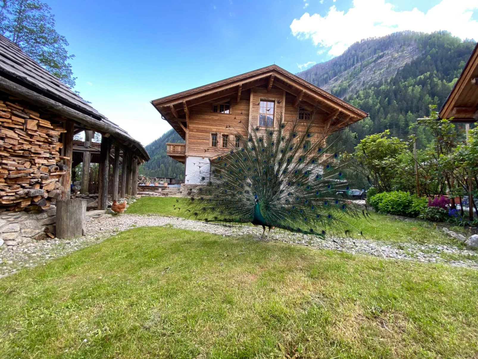 Studio Wasserfall-Buiten