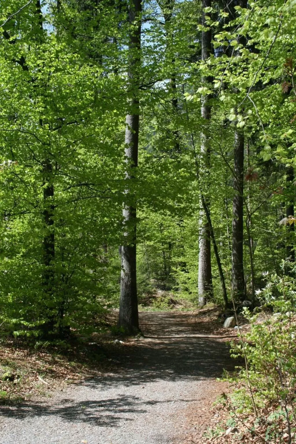 Fewo mit Herz-Buiten