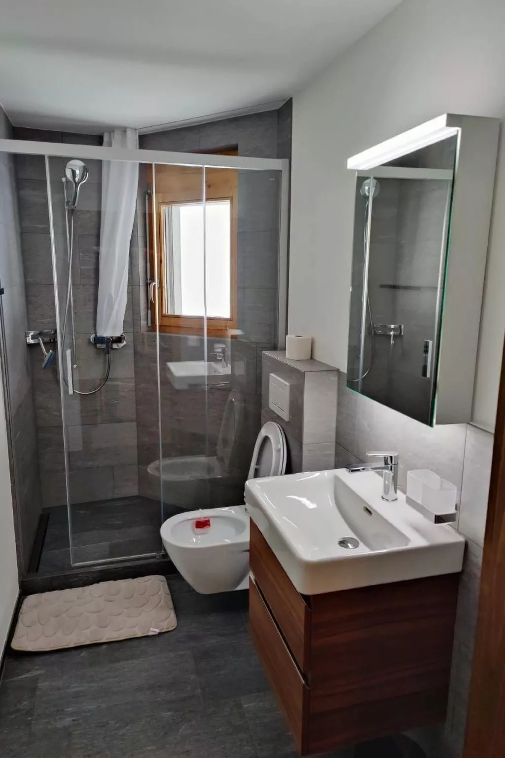 Soldanella-Image-tags.info