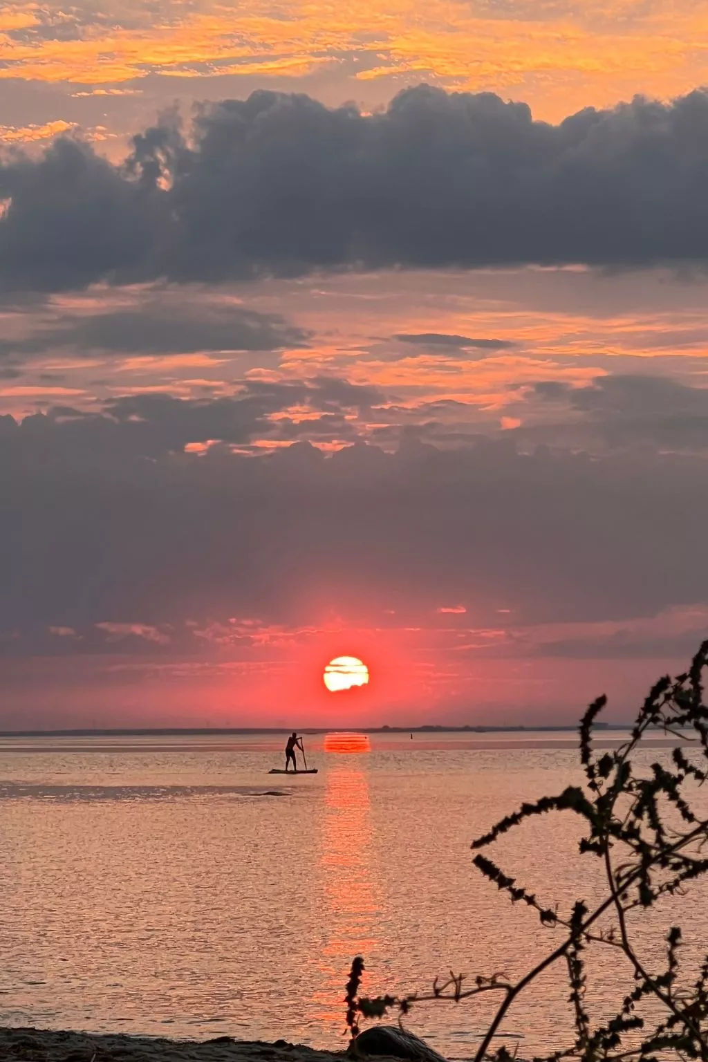 Stormy im Nauticum-Buiten