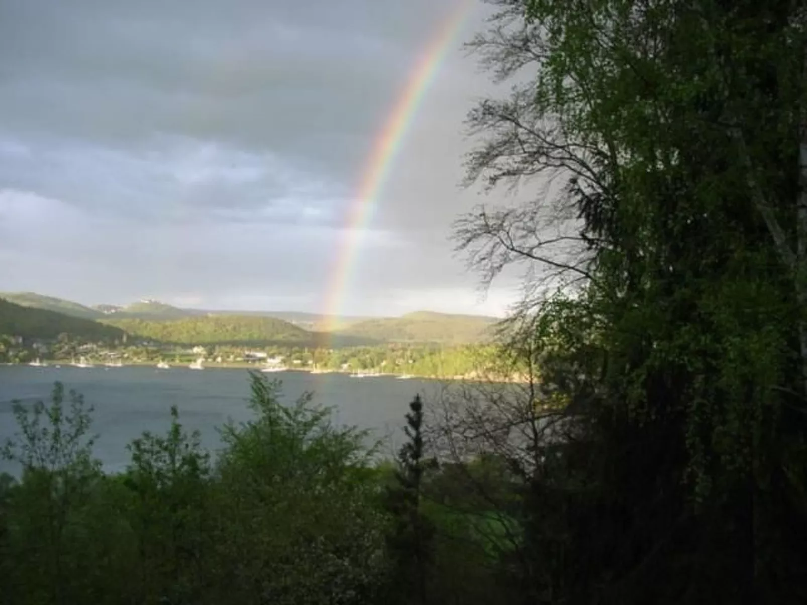 Waldblick in Vöhl-Basdorf-Buiten