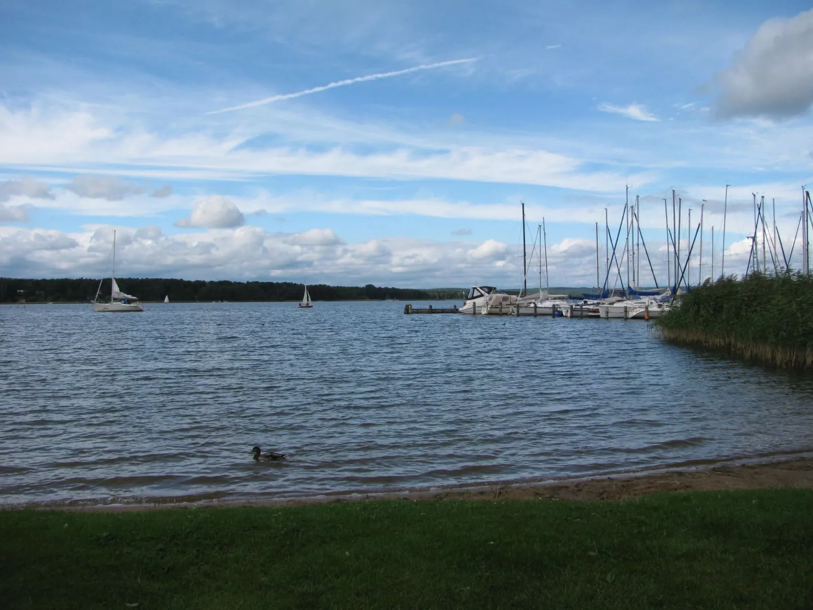 Appartement Nr.12-Image-tags.info