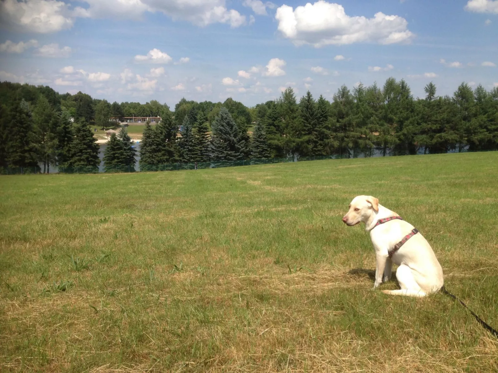 Jagdhütte-Image-tags.info