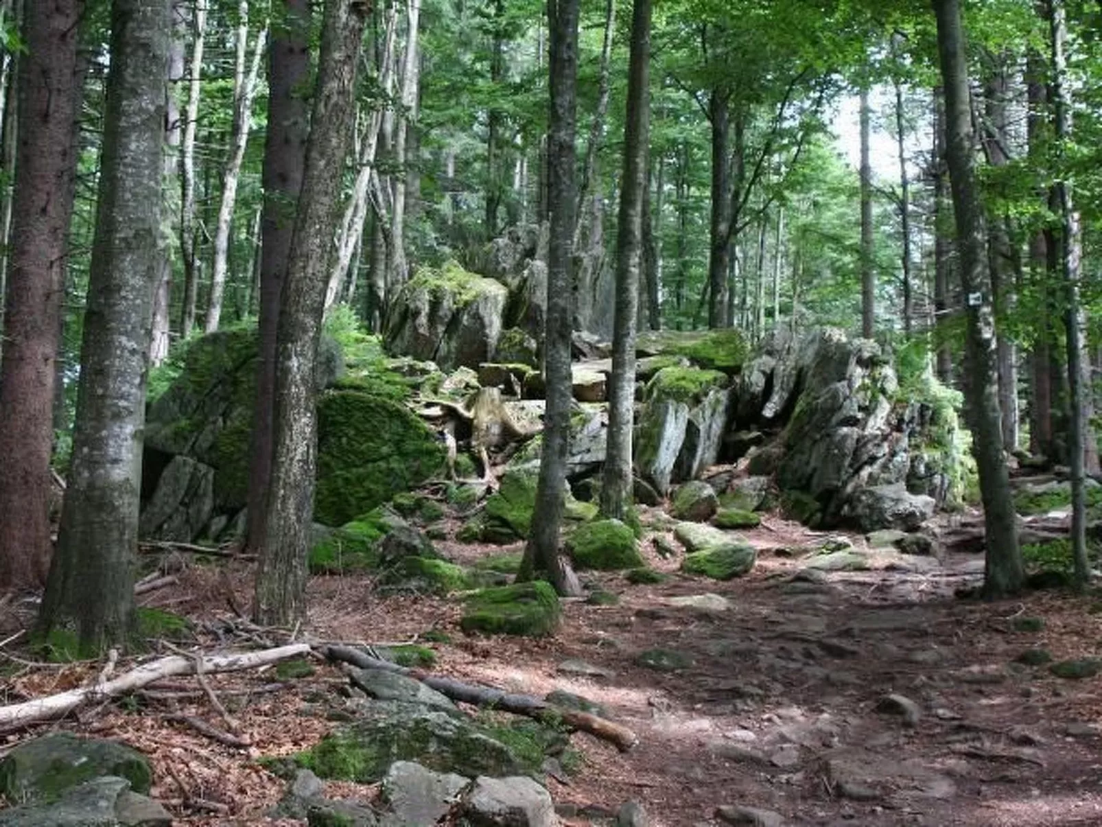 Haus Annemarie-Image-tags.info