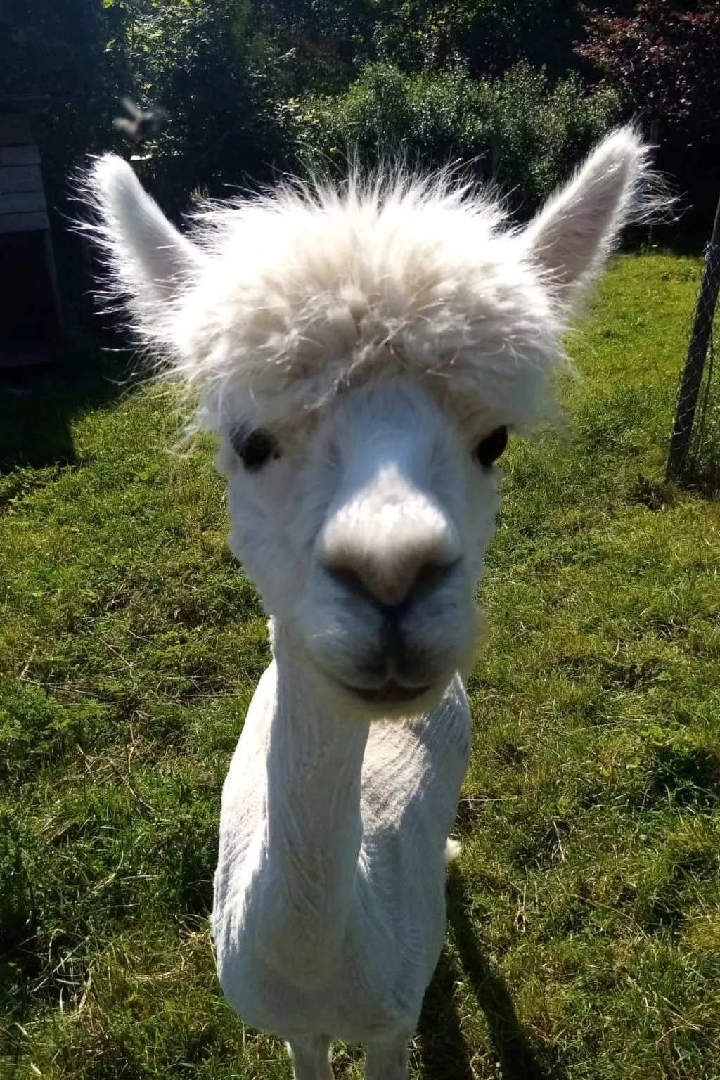 Scheunen Nest-Buiten