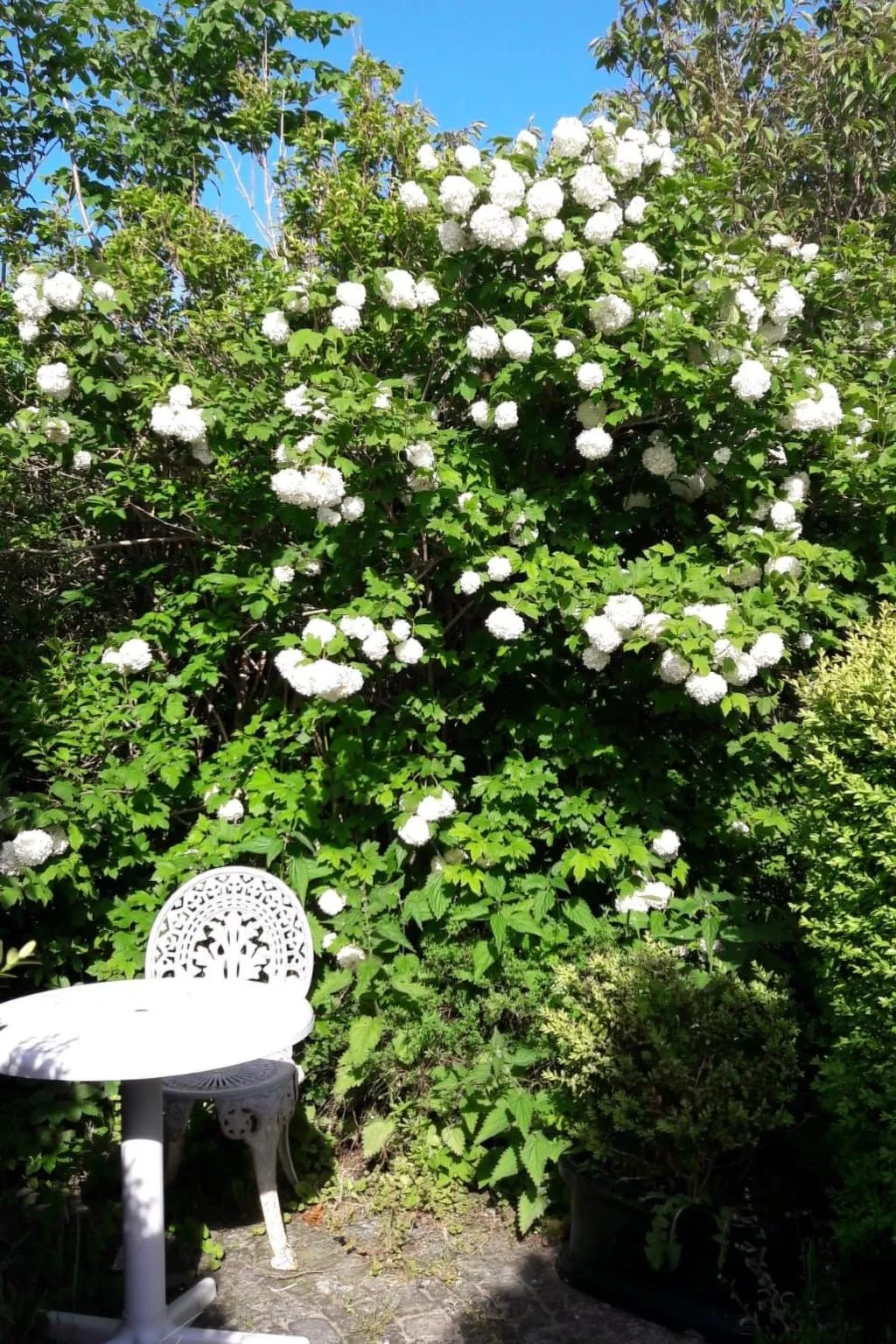 Apartment im Friesenhaus Dikhü-Buiten
