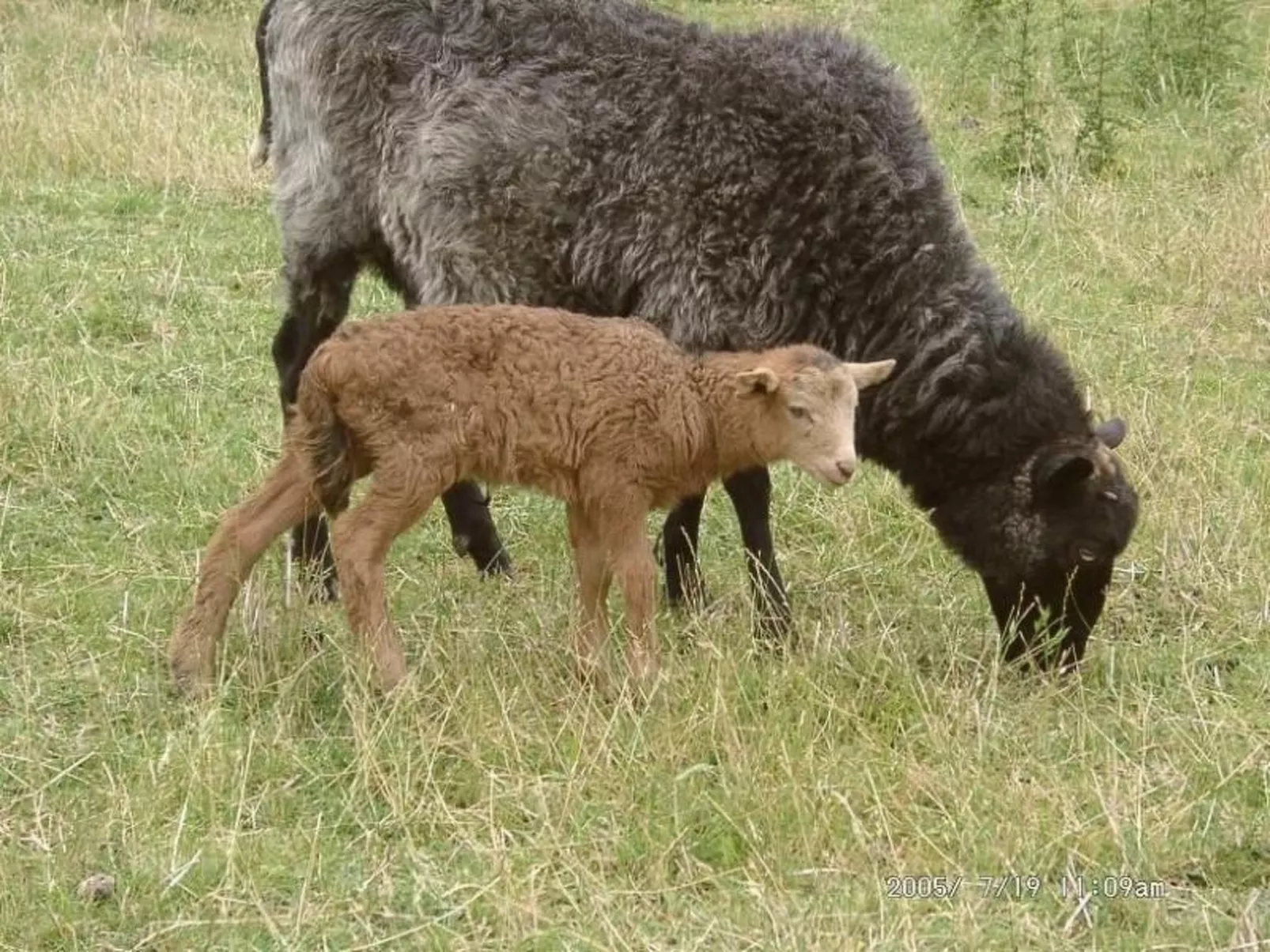 Mit Meerblick - direkt an der Ostsee-Image-tags.info
