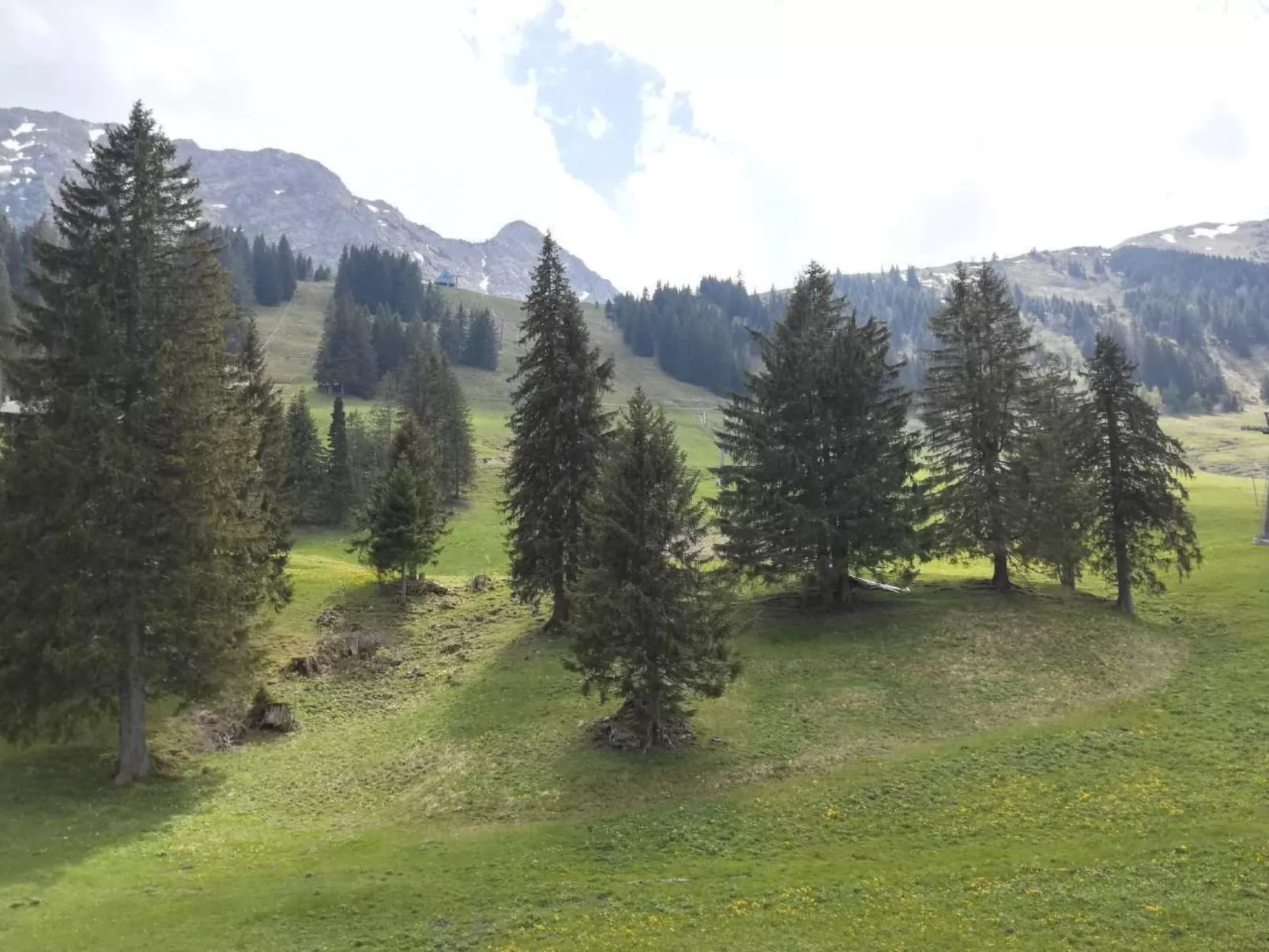 2-Zimmerwohnung Mörlialp im Wander- und Skigebiet-Image-tags.info