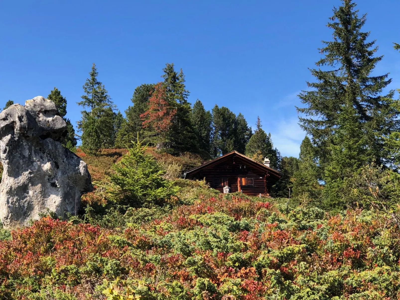 Wohnung Niesenblick-Buiten