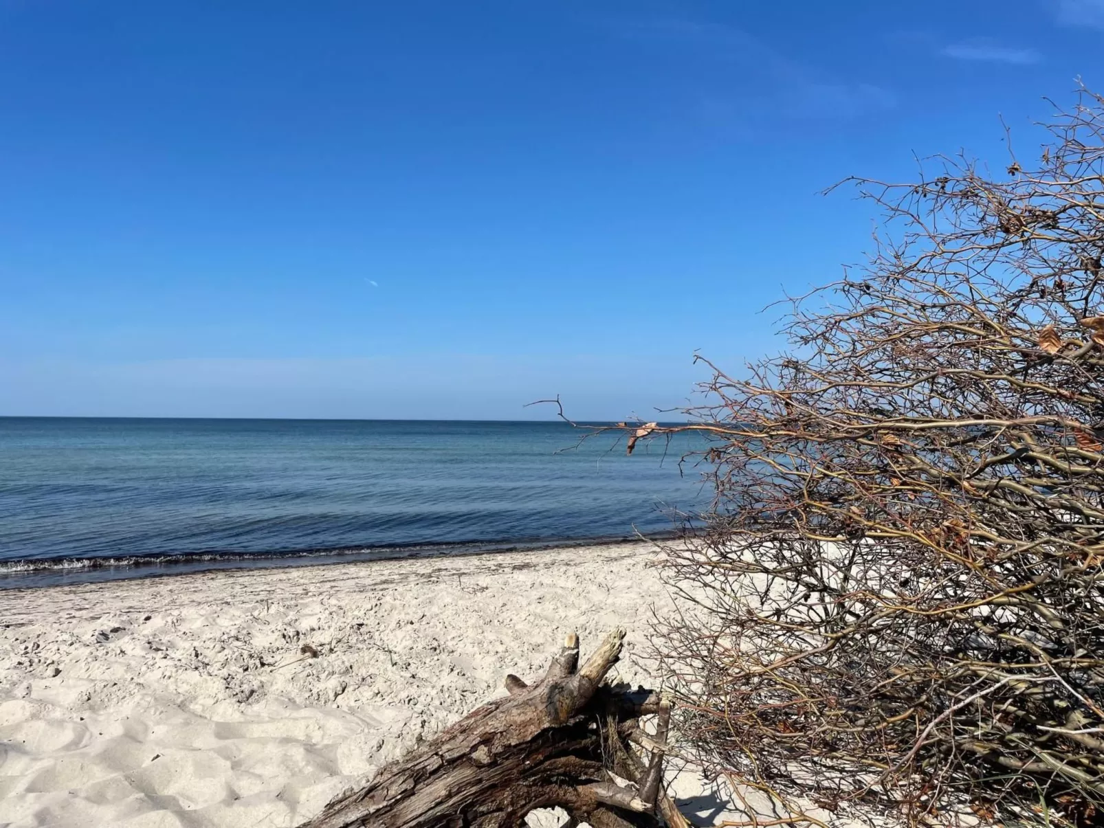 Wohnung 3-Image-tags.info