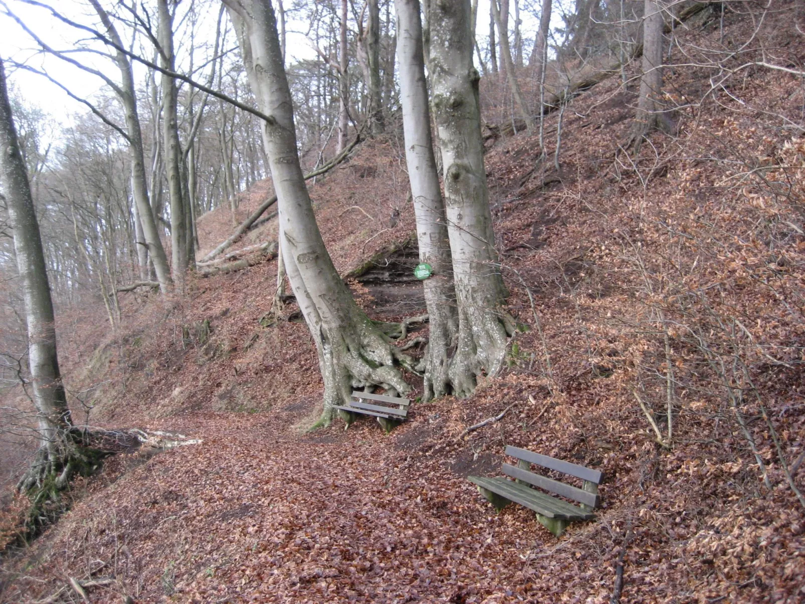 In der Vulkaneifel-Buiten