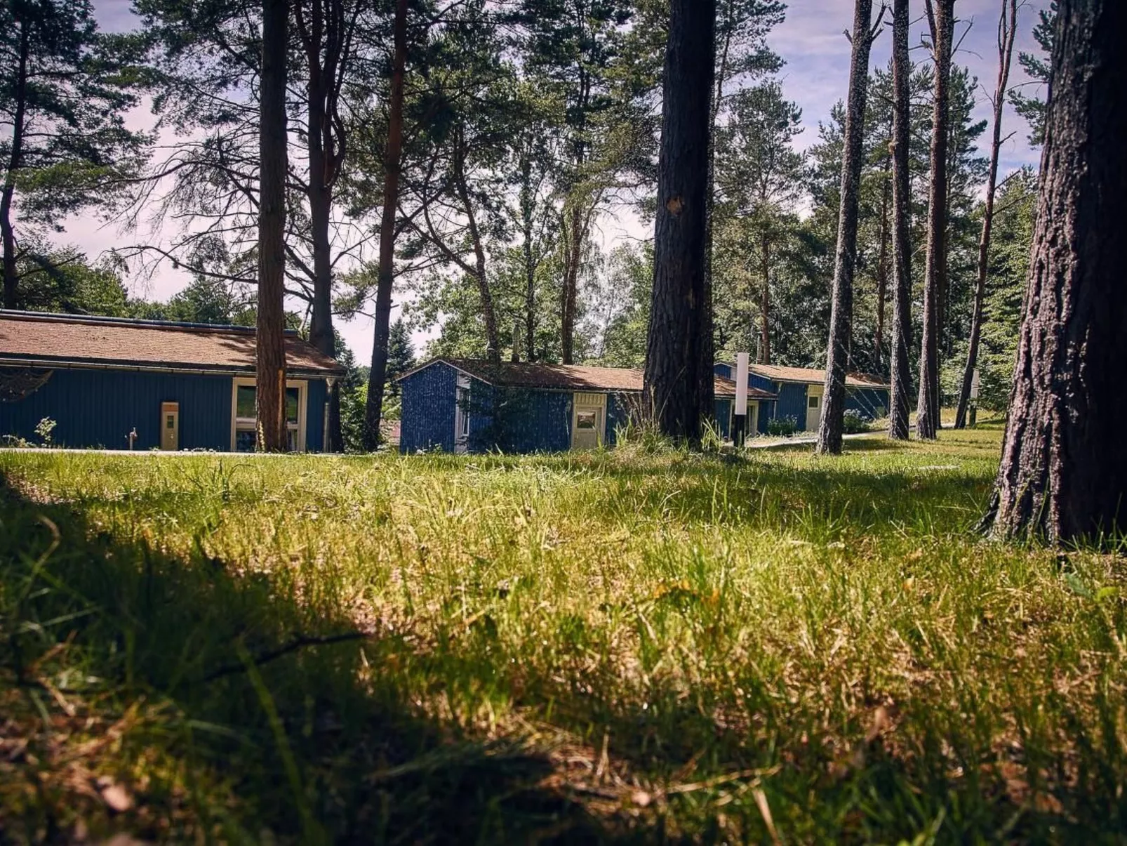 Anne-Image-tags.info