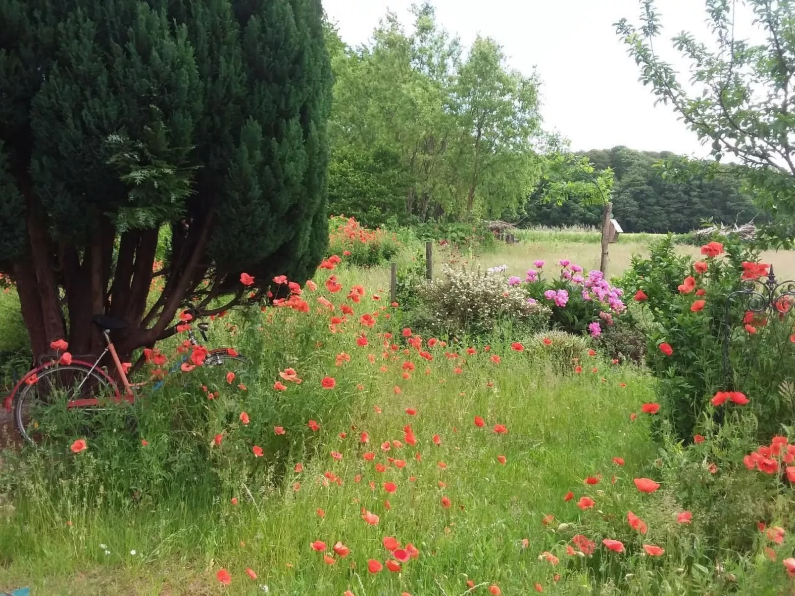 Schwalbennest-Buiten