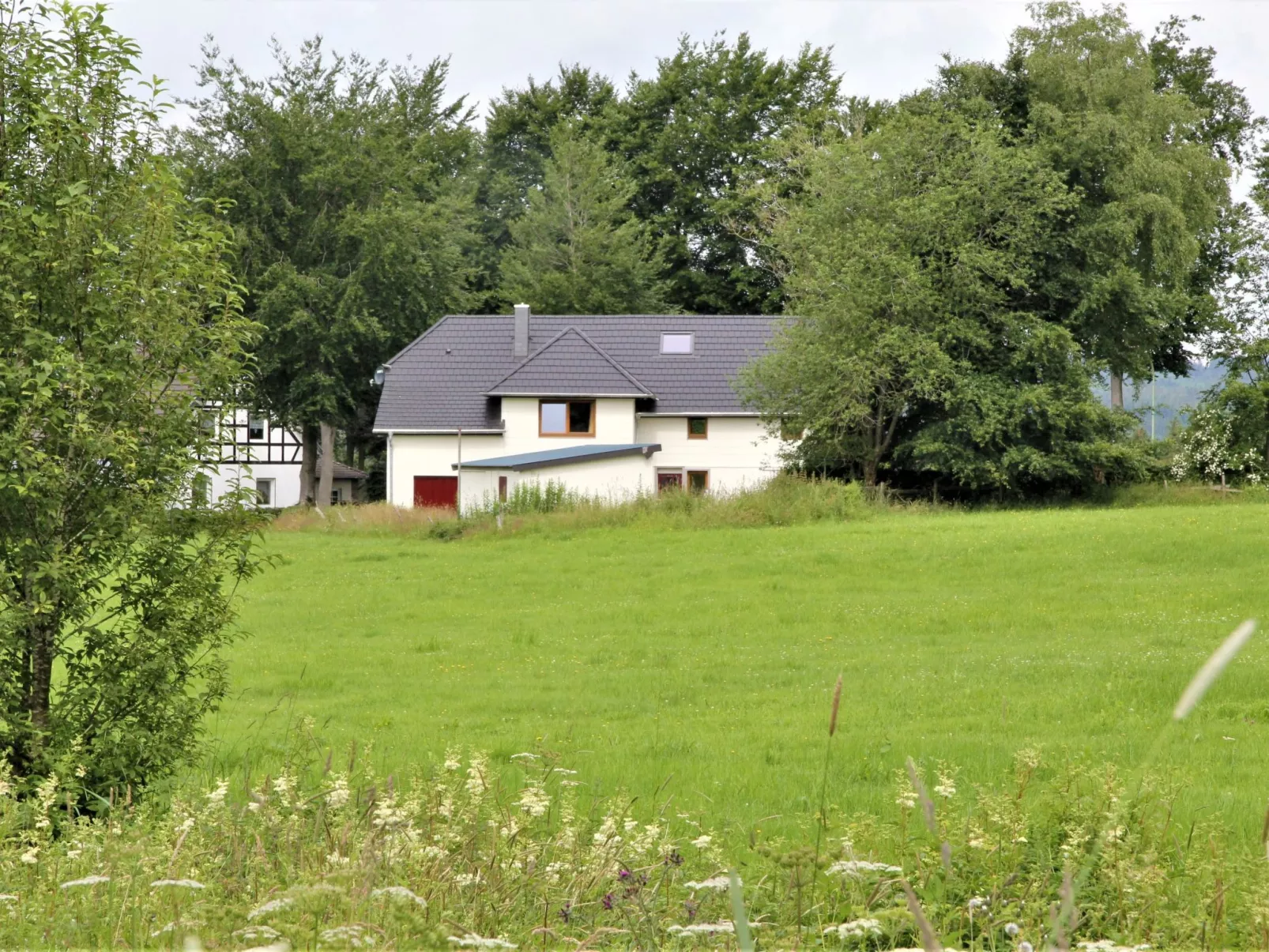 Am Hohen Venn-Buiten