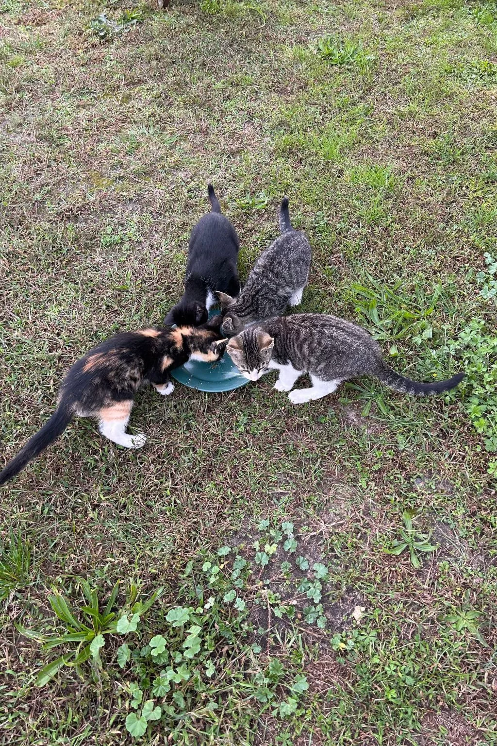 Am Schwielochsee-Buiten