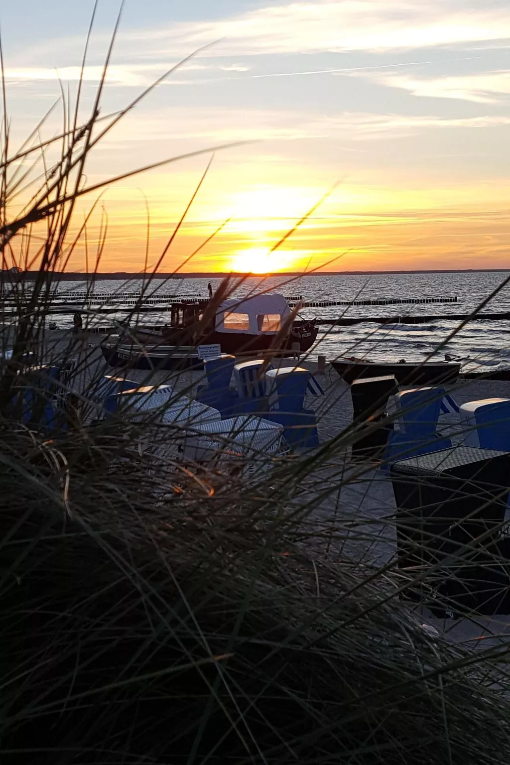 Fewo Waldblick EG-Buiten