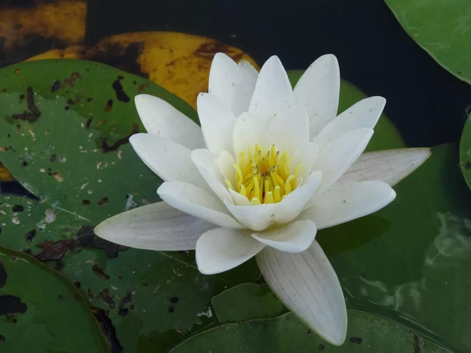 Fh "Molkenberg"-Buiten