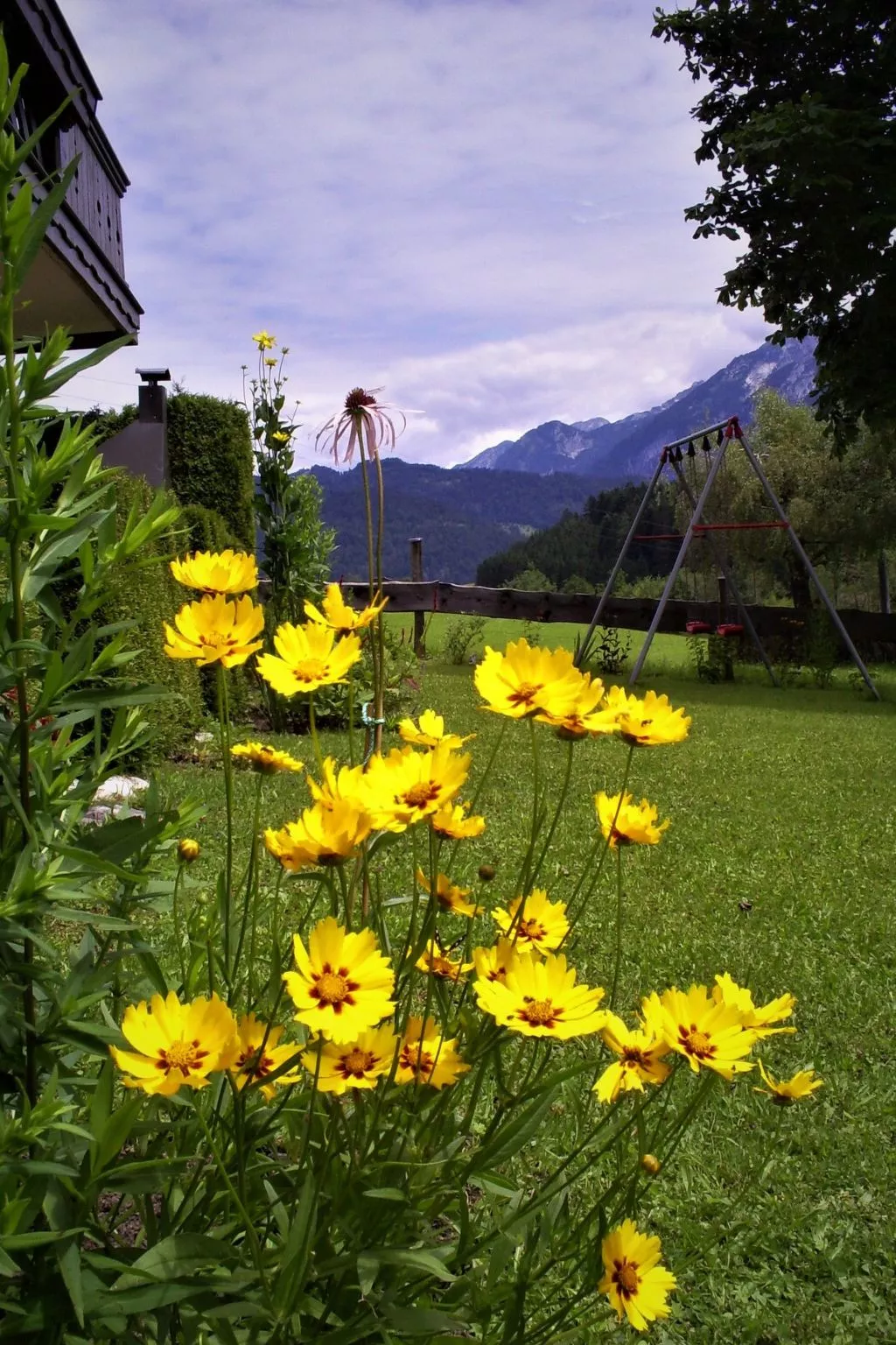 Gsenger in Abtenau-Image-tags.info