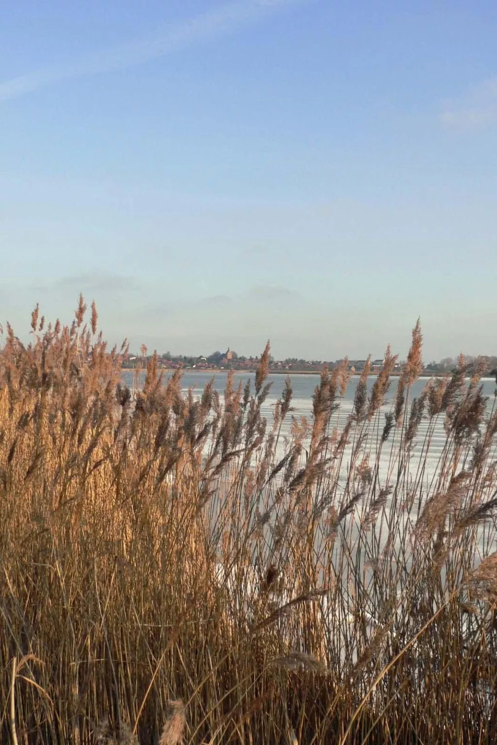 Studio am Rande eines Naturschutzgebietes-Image-tags.info