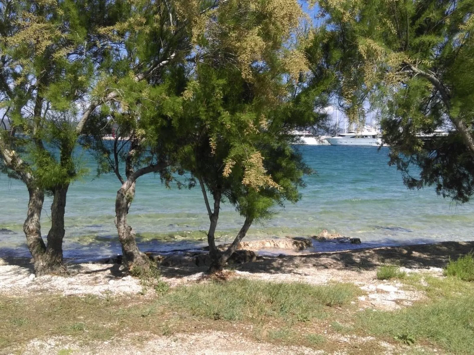 Superior Suite mit Balkon-Image-tags.info