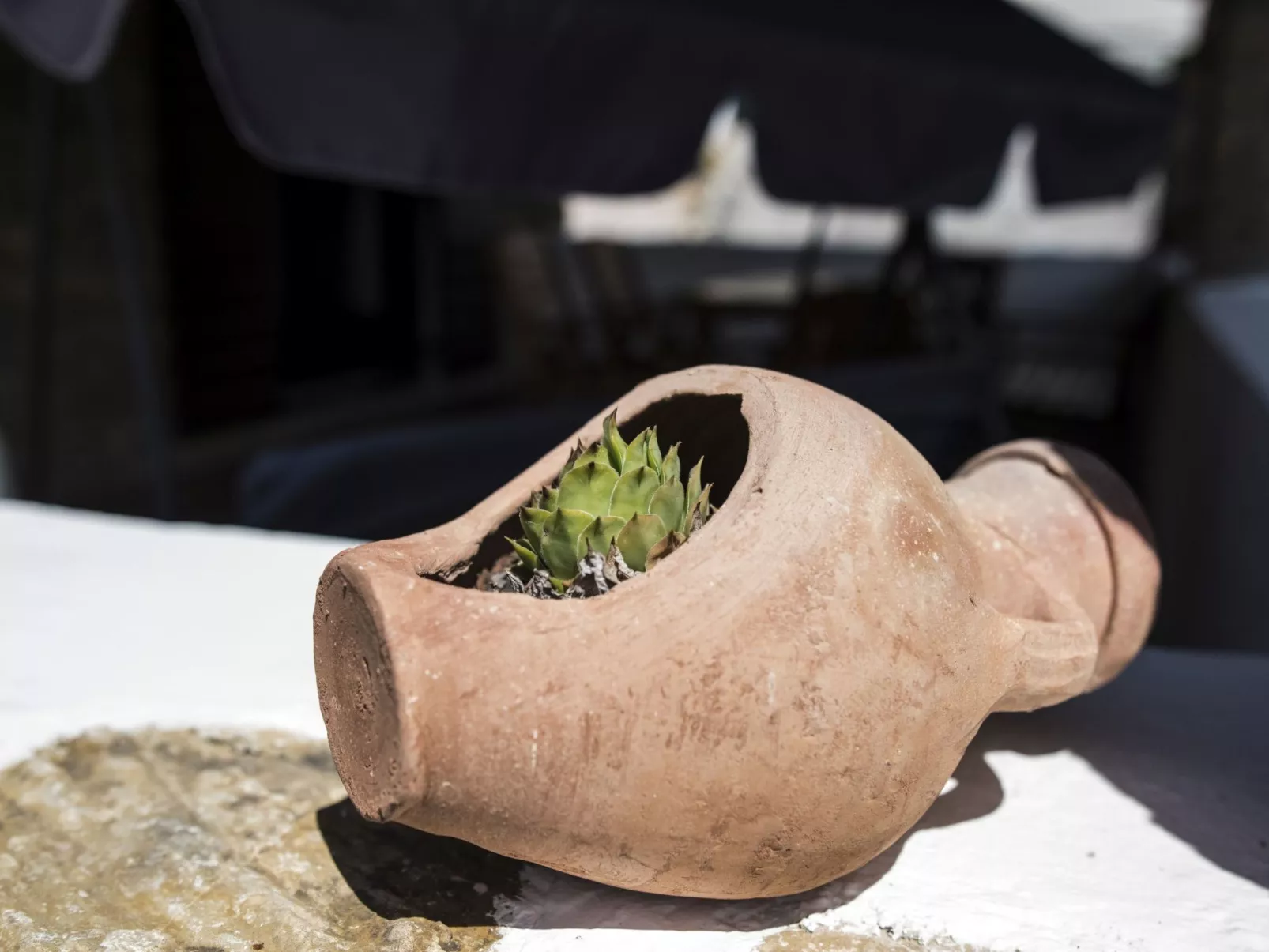 Mit eigenem Pool-Buiten