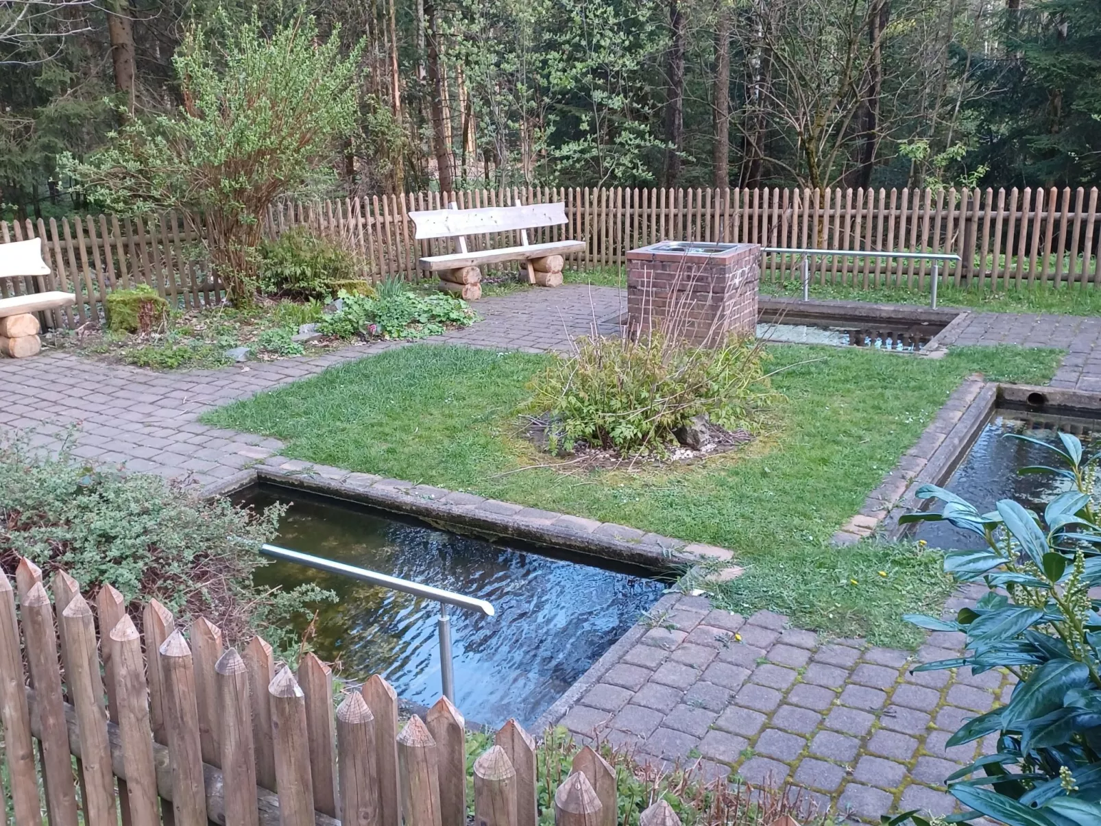 Walli OG Hahnenklee-Buiten