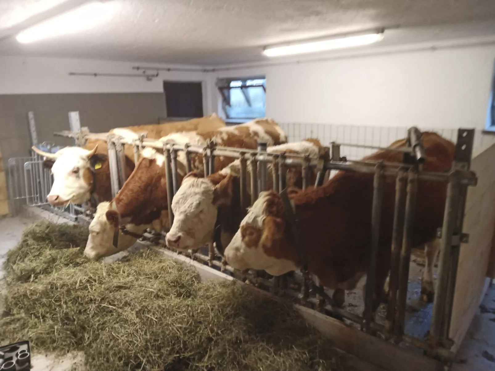 Mit Balkon in guter Ausflugslage-Image-tags.info