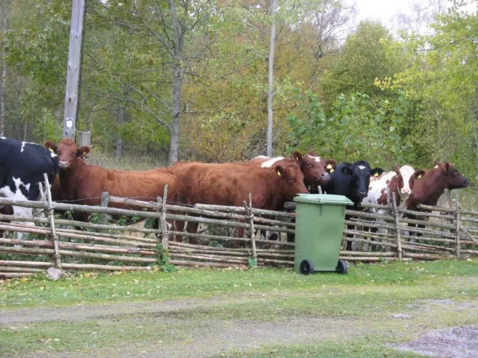 Idyllisches Bauernhaus in Småland-Buiten