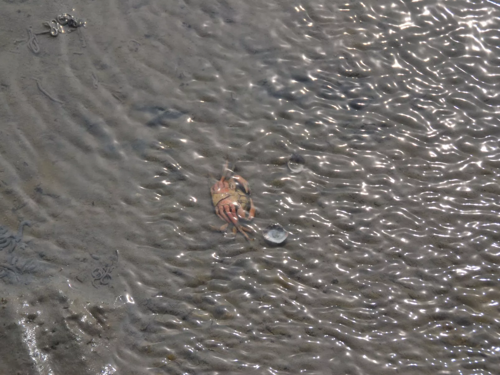 Landskron-Image-tags.info