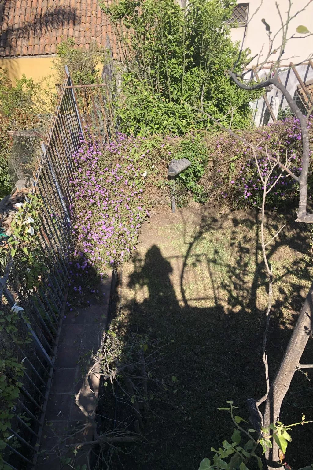 Villa mit Wasserblick-Buiten